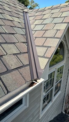 Turtle Shell gutter protection installation in St. Charles, IL 60174, photograph 14