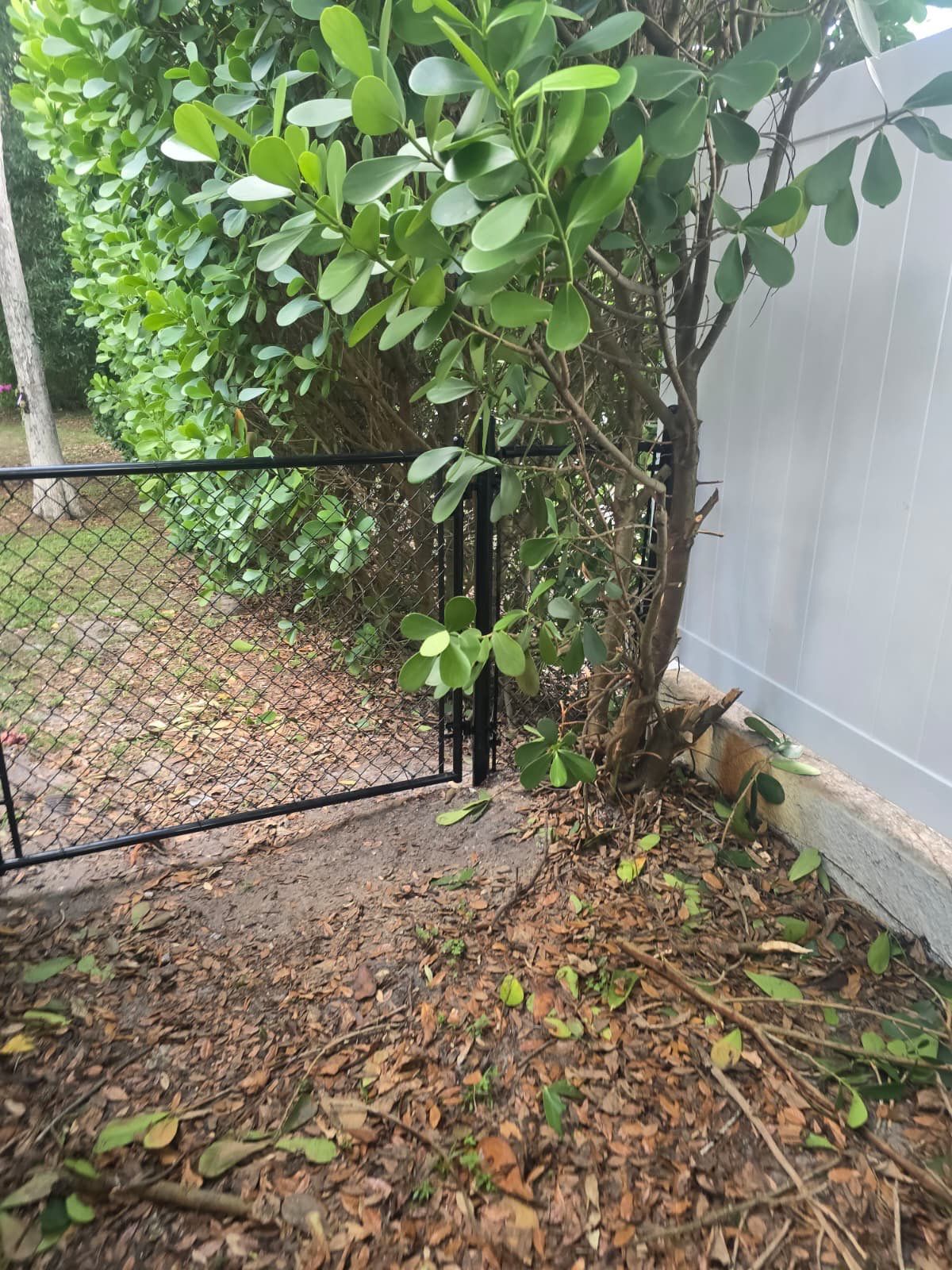 Vinyl Fence and Estate Gate in Naples by True Fence LLC