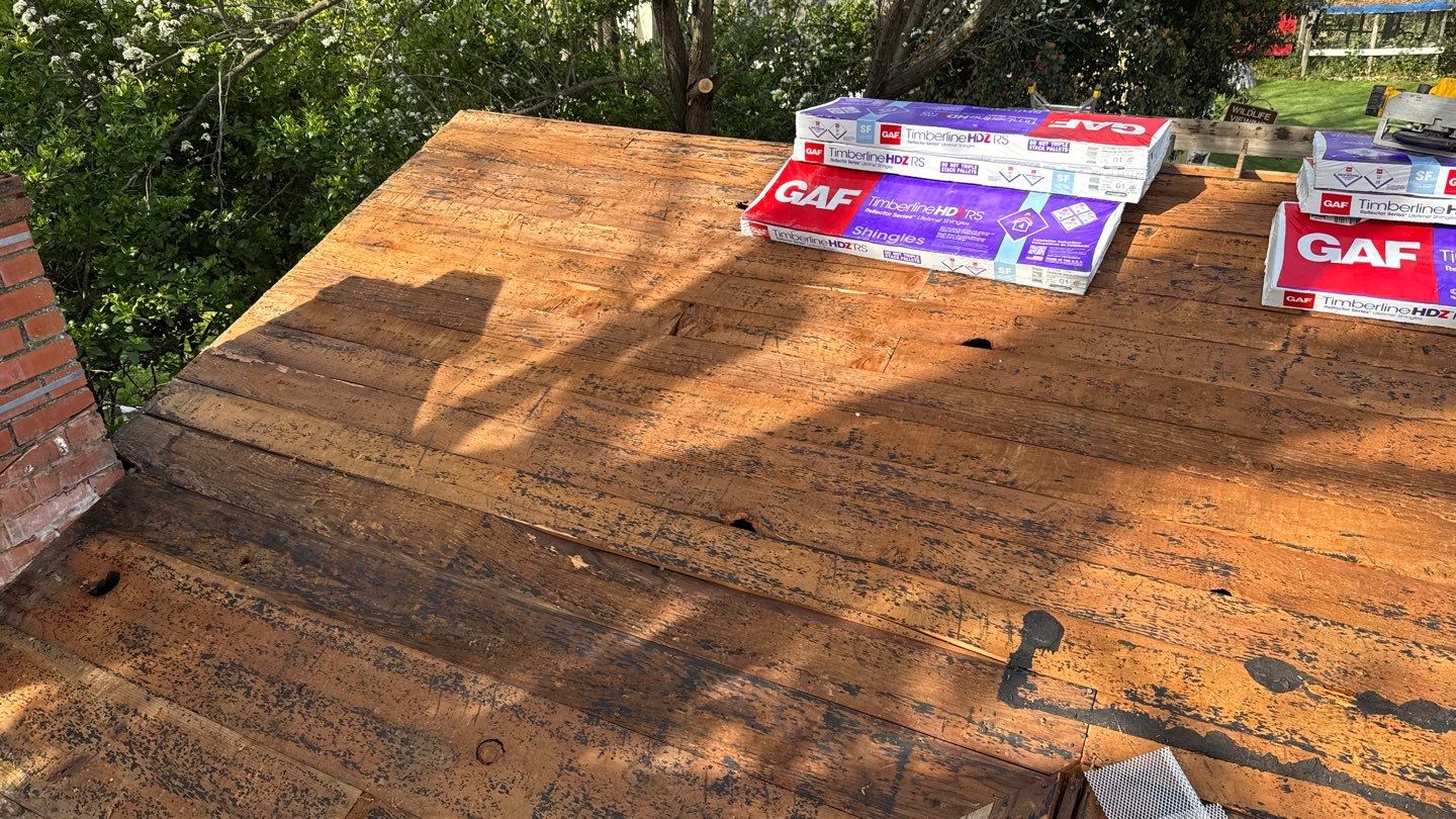 Willa Holmstock by NuLead Construction Inc