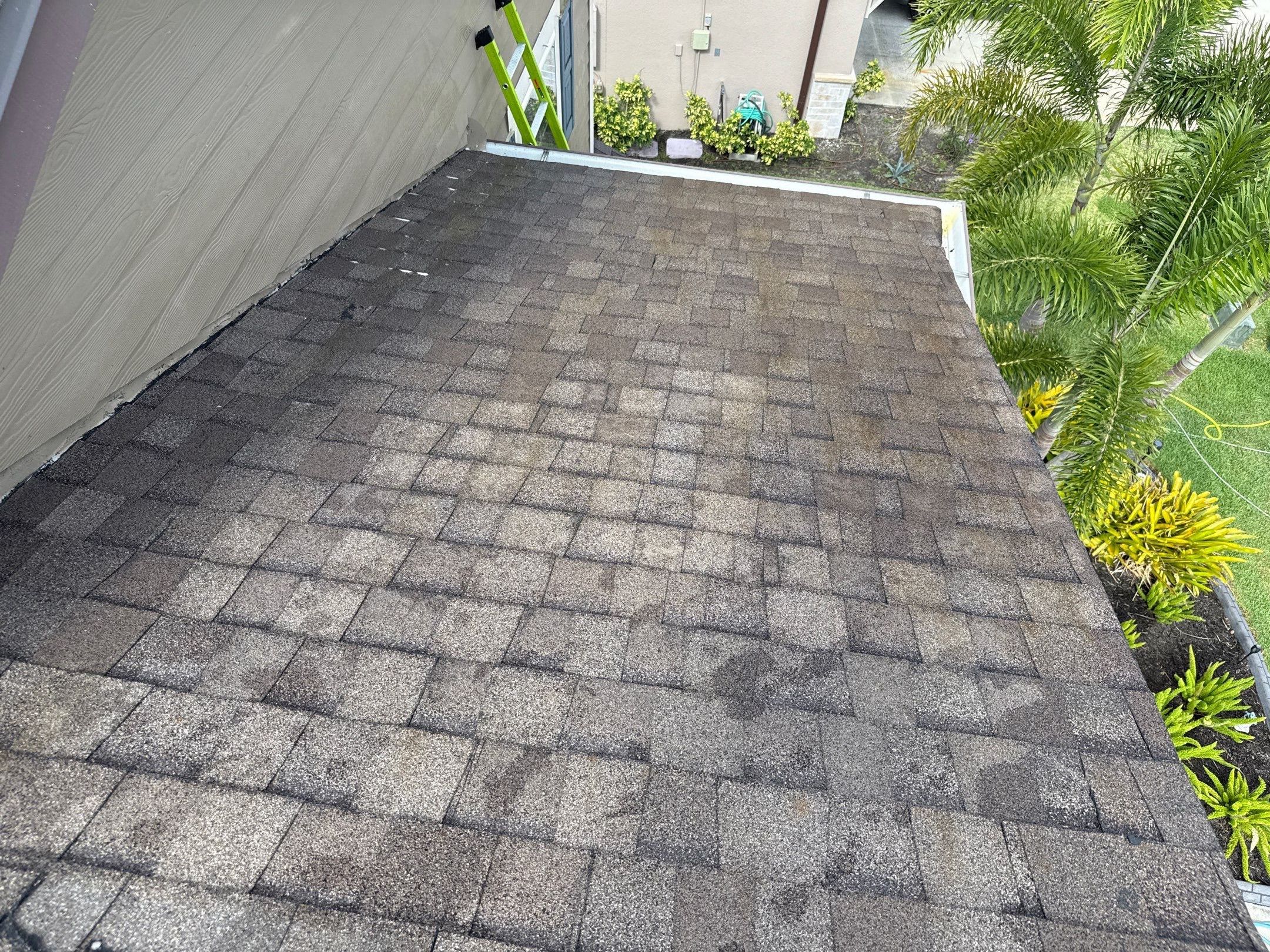 Roof Soft Wash, Pool Deck & Screen Enclosure Cleaning – Trevesta Community, Palmetto, FL by Sunshine AquaWash