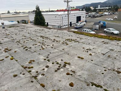 Commercial Roof Restoration and White Coating in Springfield