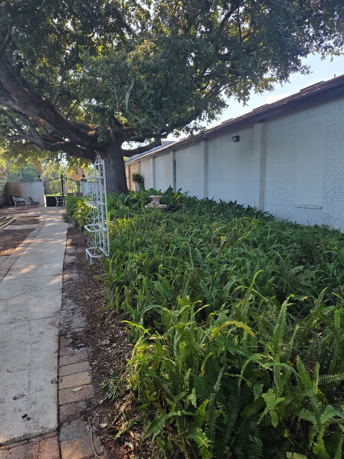 Commercial Property | Clean Up & Tree Removal by ProGreen Services
