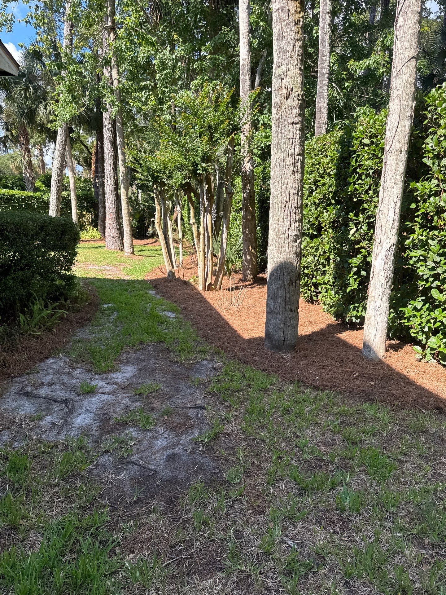 Residential | Pine Straw Install by ProGreen Services