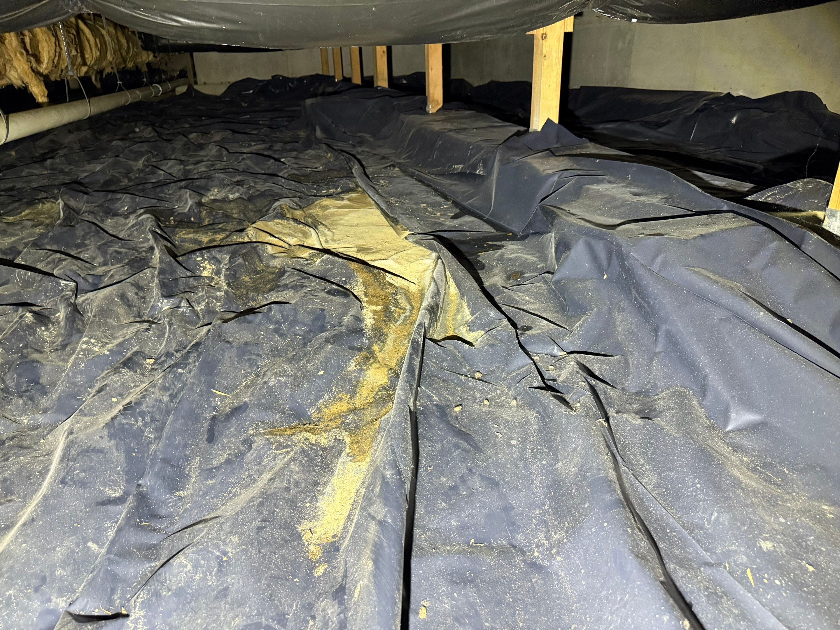 Crawlspace Encapsulation by Hausmeister Home Services INC