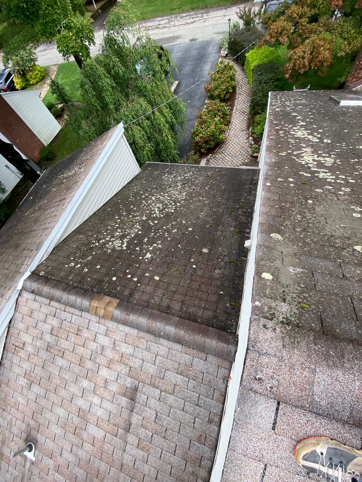 Shakewood Shingles by Reimagine Roofing
