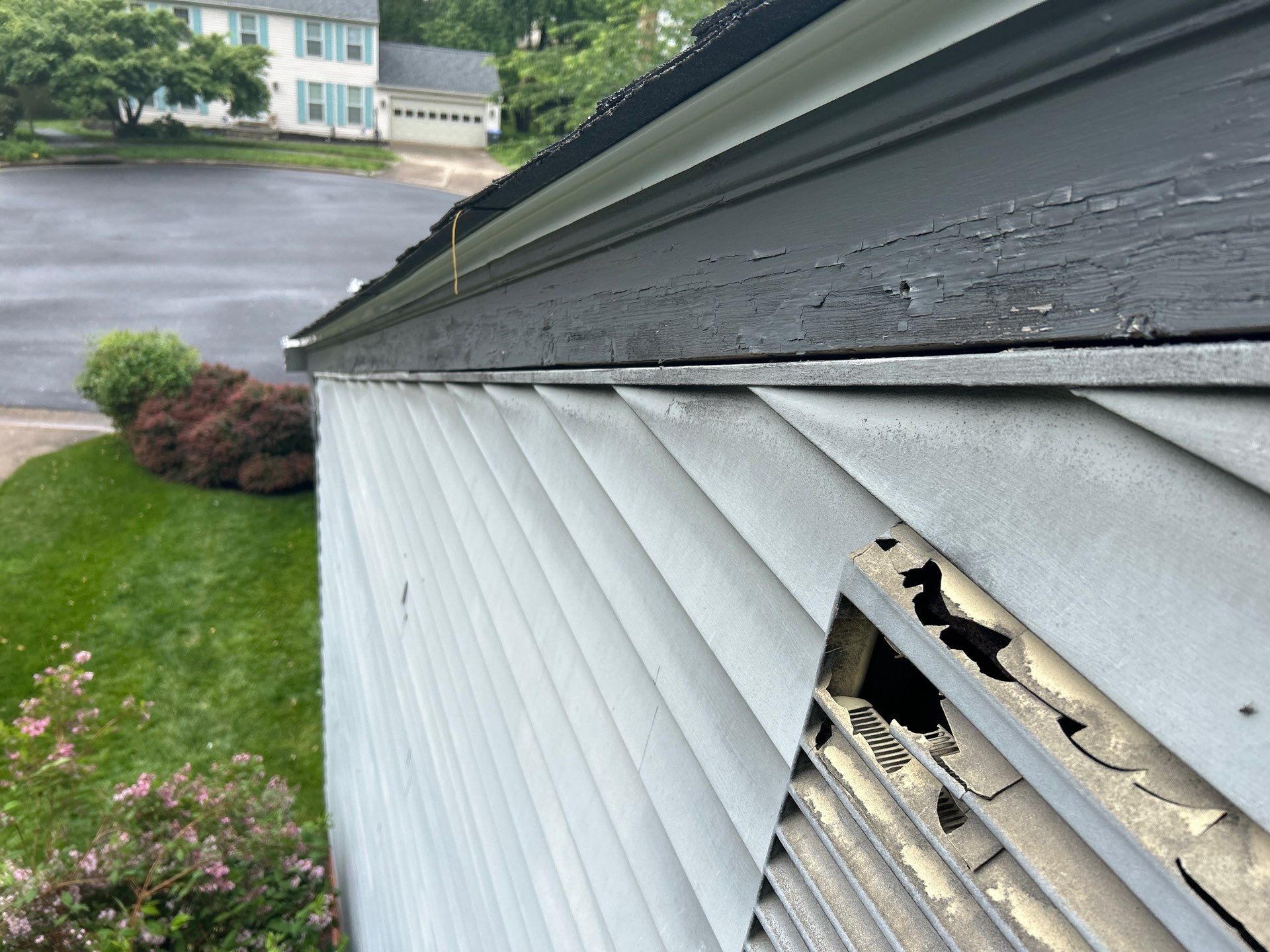 Burke: CertainTeed Landmark Designer Shingles in Moire Black by RM Banning, Inc.