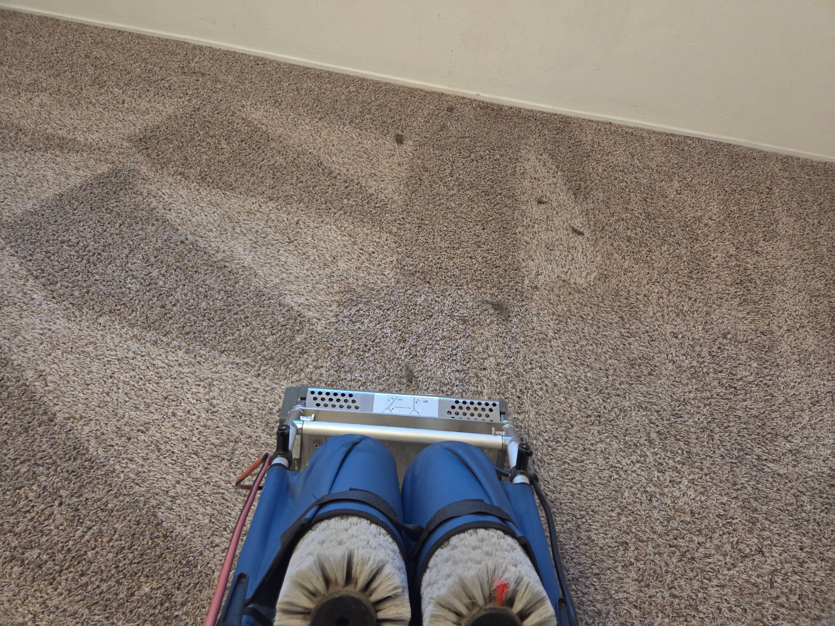 Move-Out Carpet Repairs & Carpet Cleaning by Ardent Carpet Restore LLC