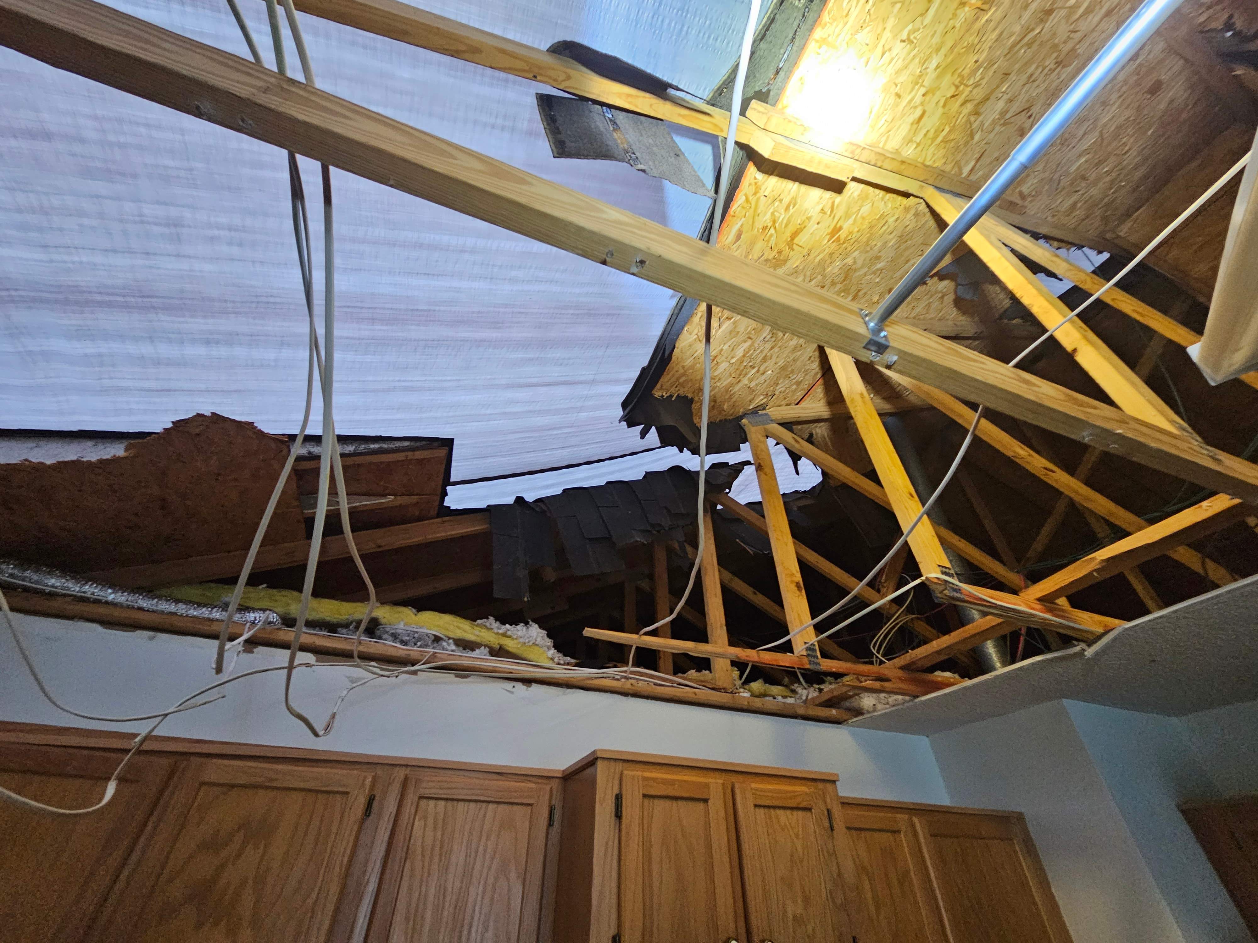 Tree Damage  by Ajayi Design and Construction 