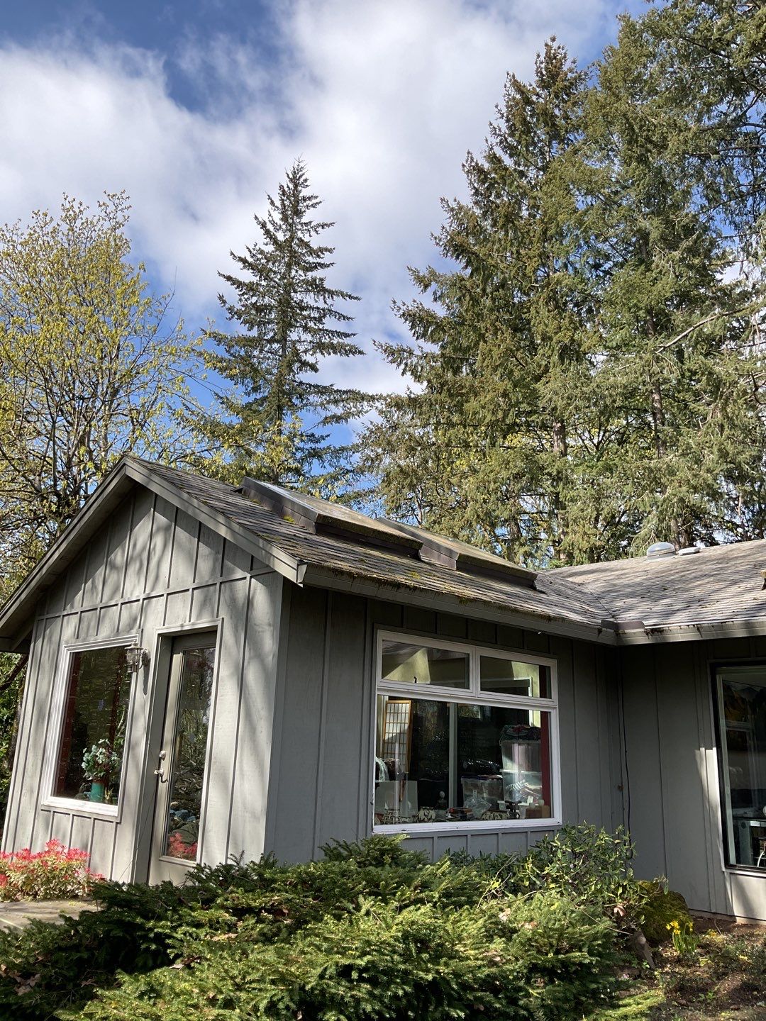 Roof Treatment using Biocide by Willamette Outdoor Wash LLC