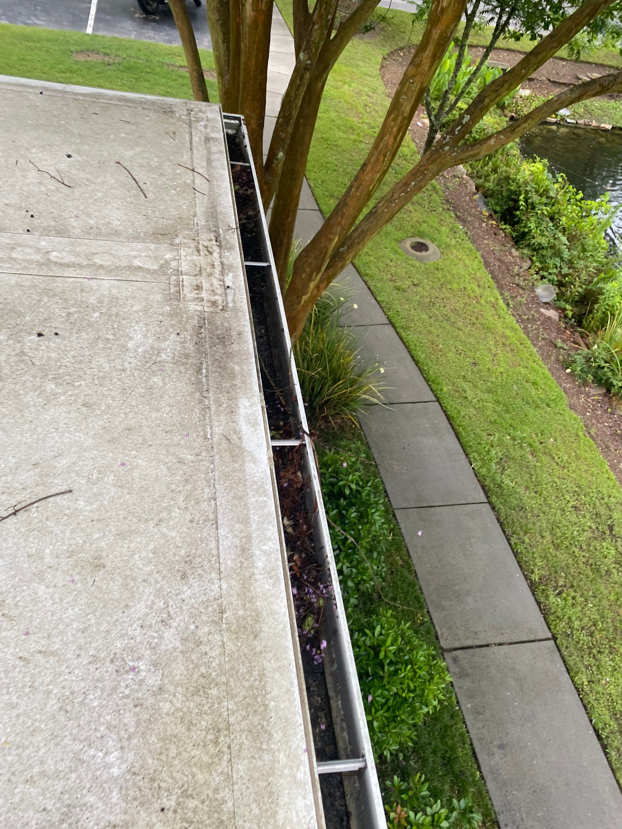 Commercial gutter cleaning Mount Pleasant, SC before photo with filled gutters