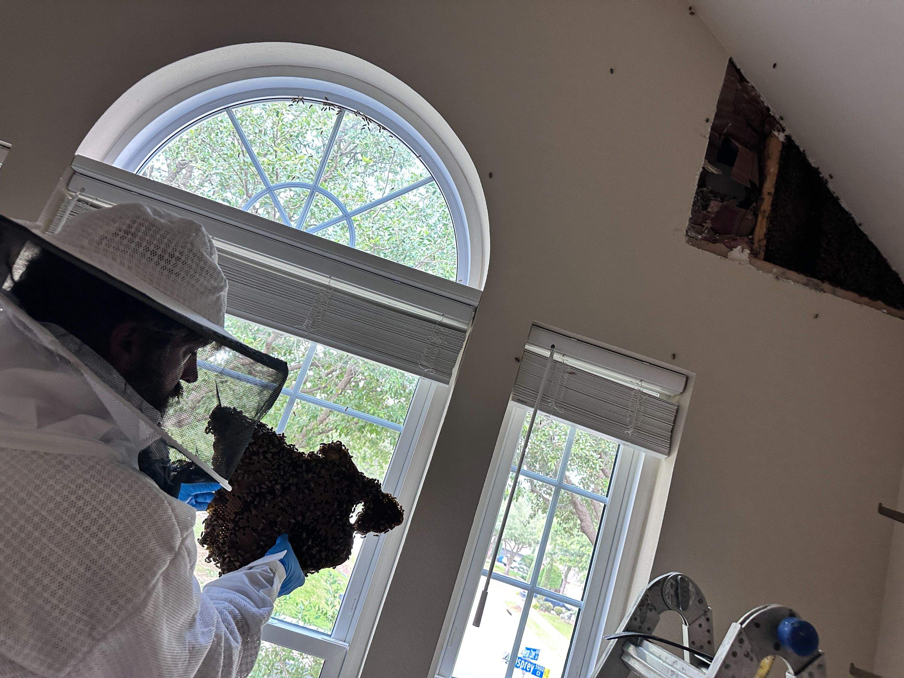 Inside Job by Rockwall Honey Bee Company