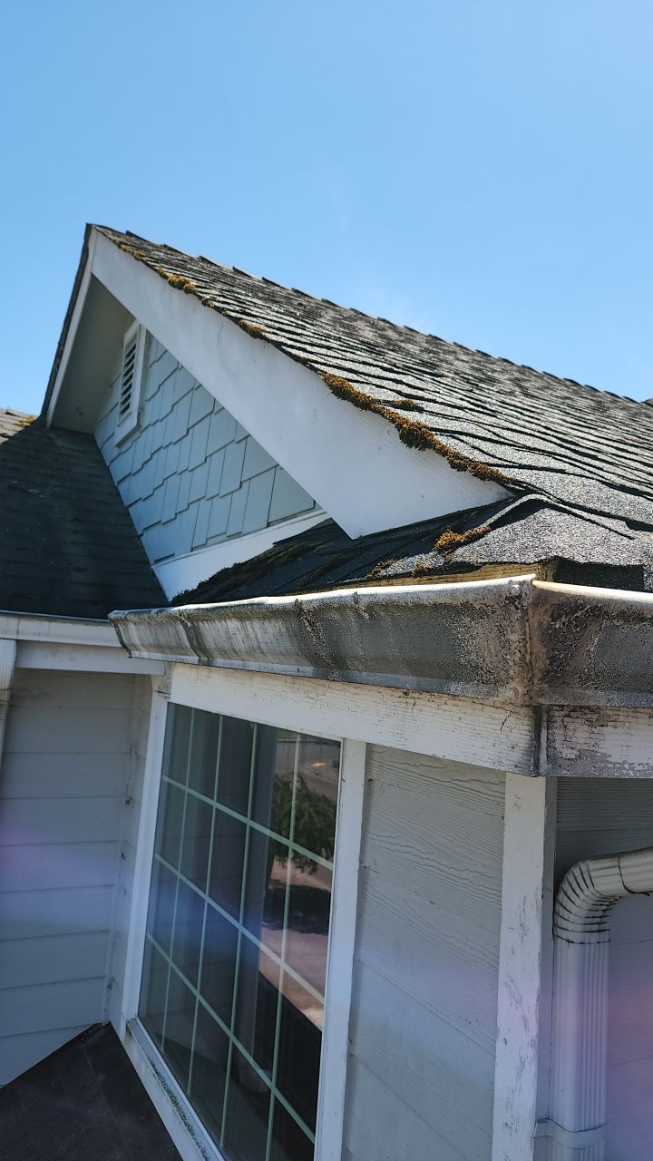 Interior and Exterior gutter clean and Roof Wash by Willamette Outdoor Wash LLC