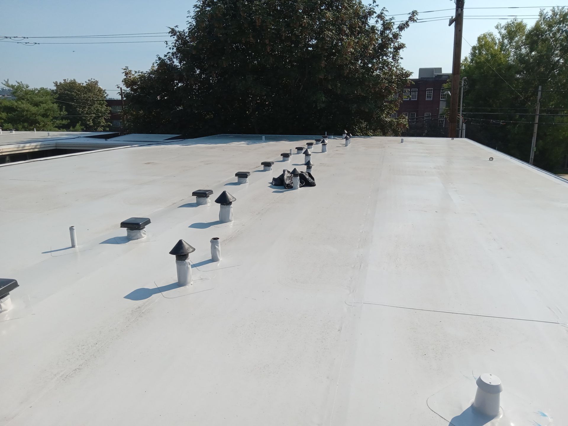 2024 Seattle Multi-Family Overlay by Alternative Roofing Systems Inc. 