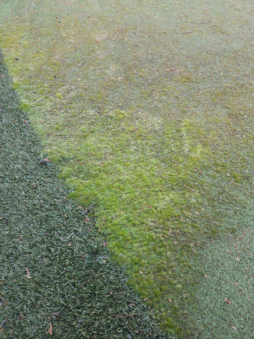 Residential Putting Green Maintenance in Columbus by Southwest Greens Midwest