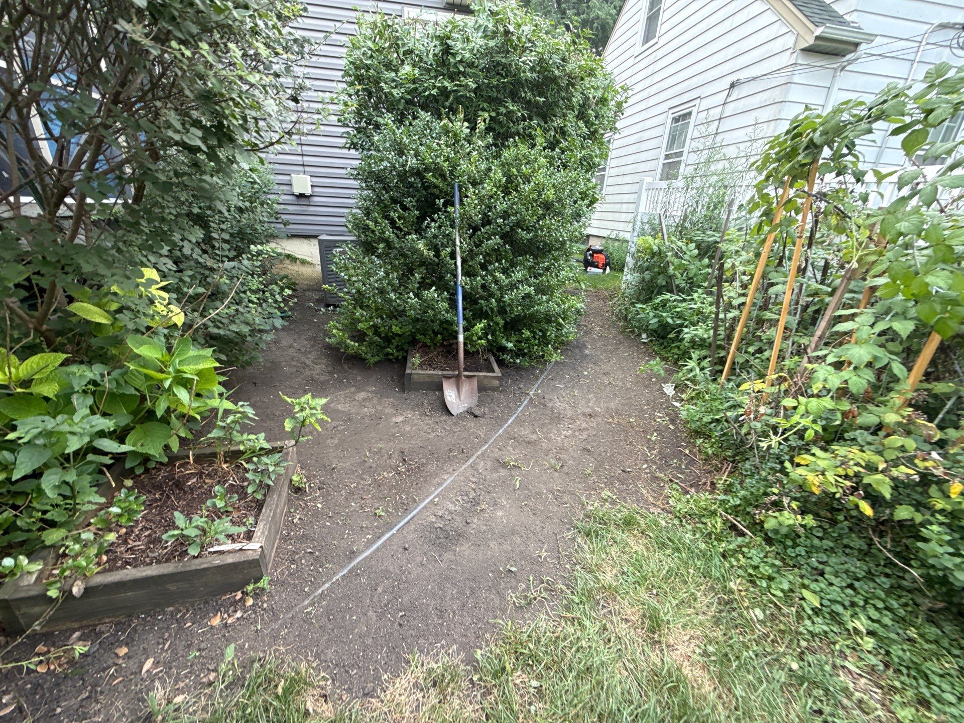 Donna L. - Arlington Heights, IL by A&N