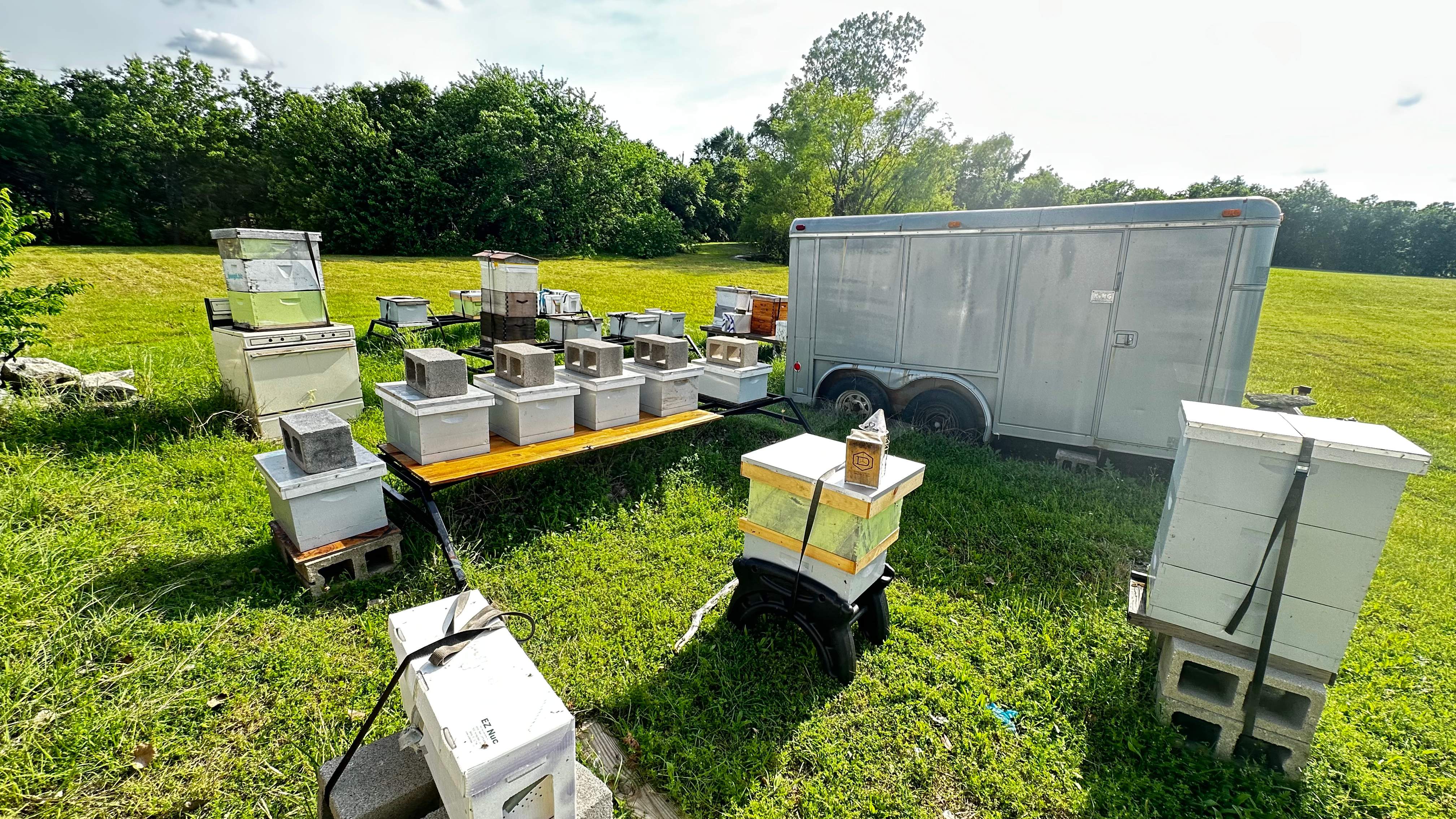 Rockwall Honey Bee Company HQ by Rockwall Honey Bee Company