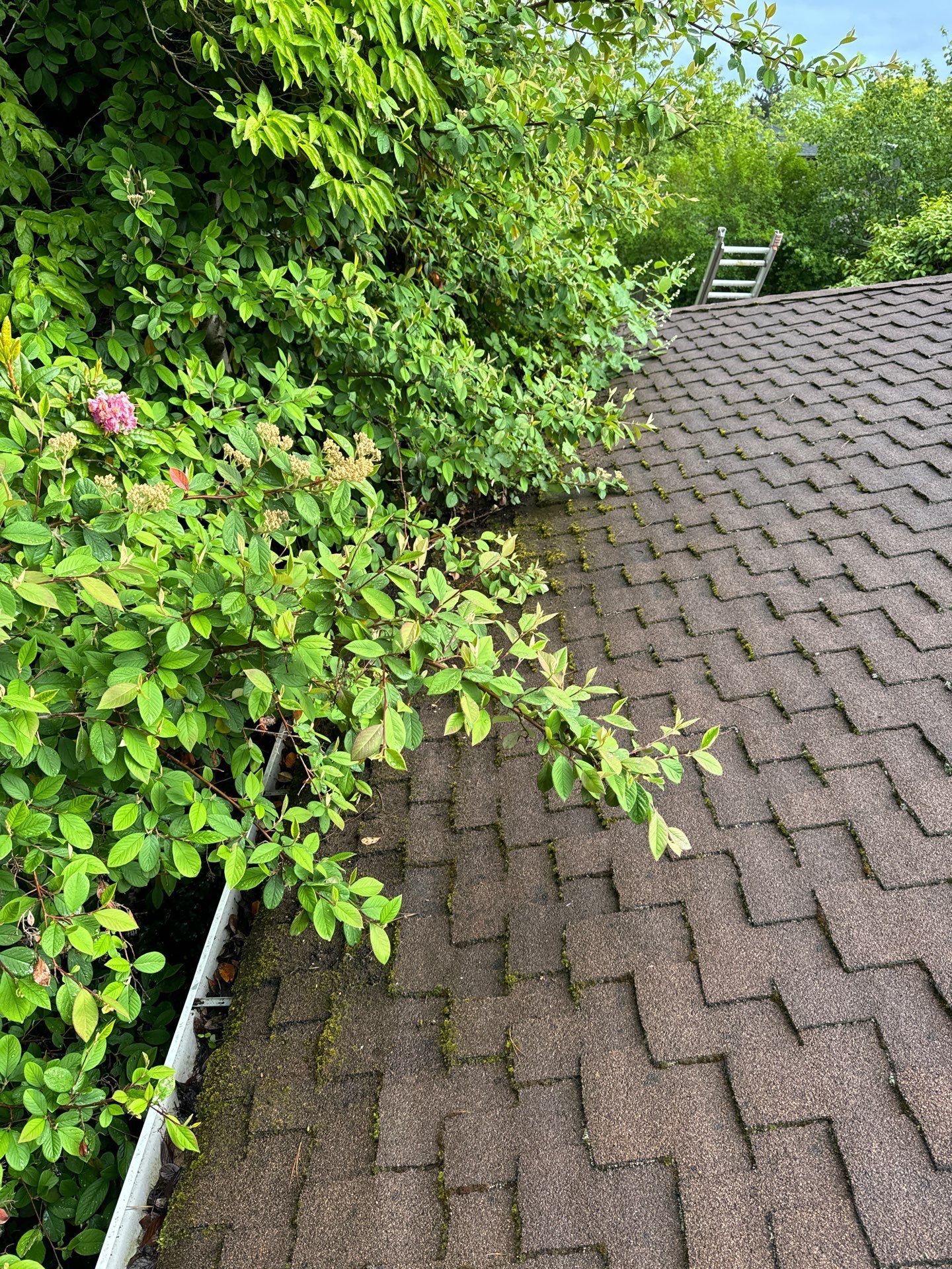 Project in Seattle by Connolly Construction Company