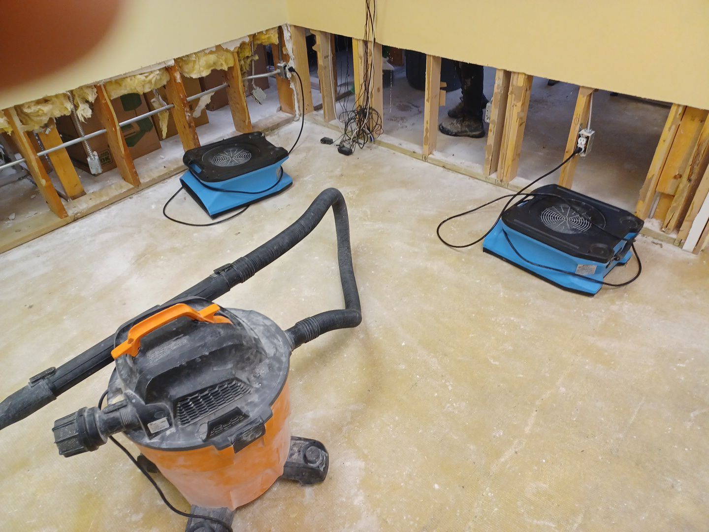 Project in Commerce Twp by EzDry Water Mitigation & Property Restoration