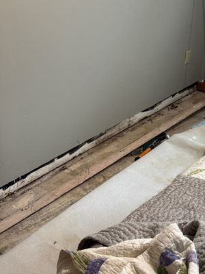Professional Mold Remediation and Containment Services in Deerfield