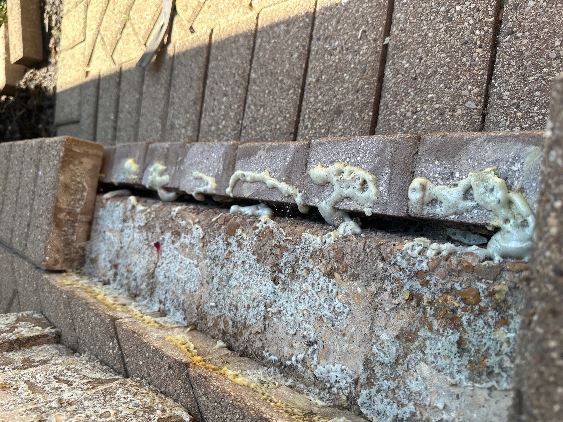 Brick paver repair, cleaning and sealing by Northern Power Washing LLC.