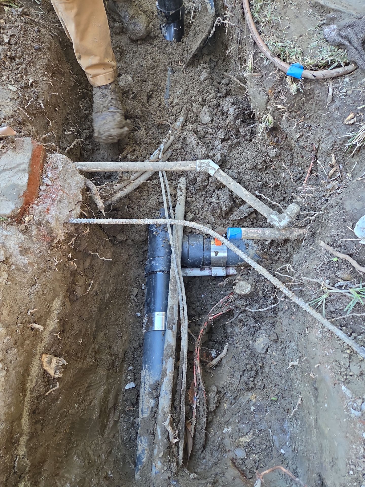 Area Drain Root Intrusion by Professional Plumbing Inc 