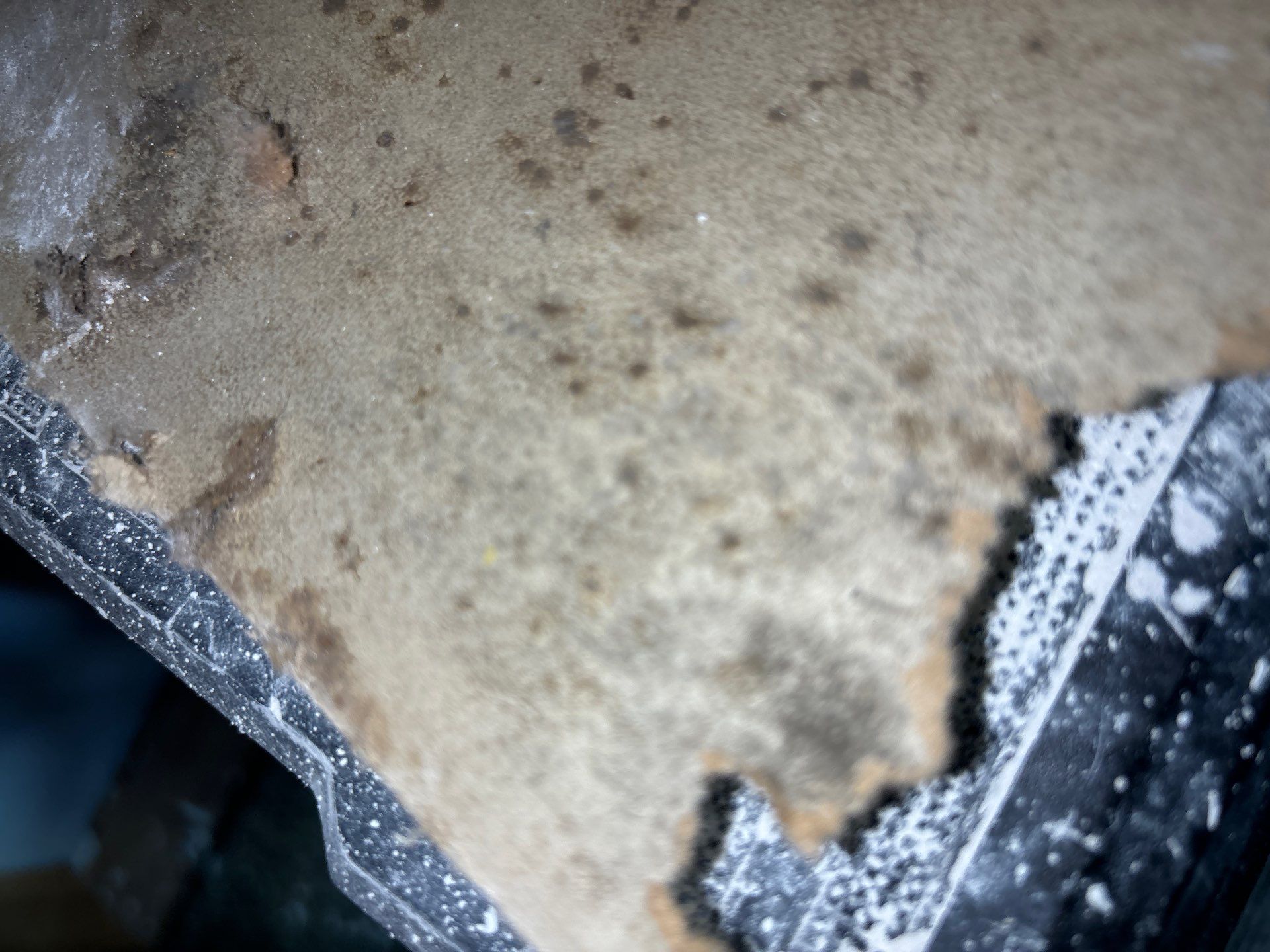 Home Mold Removal by Ampm Restoration Services