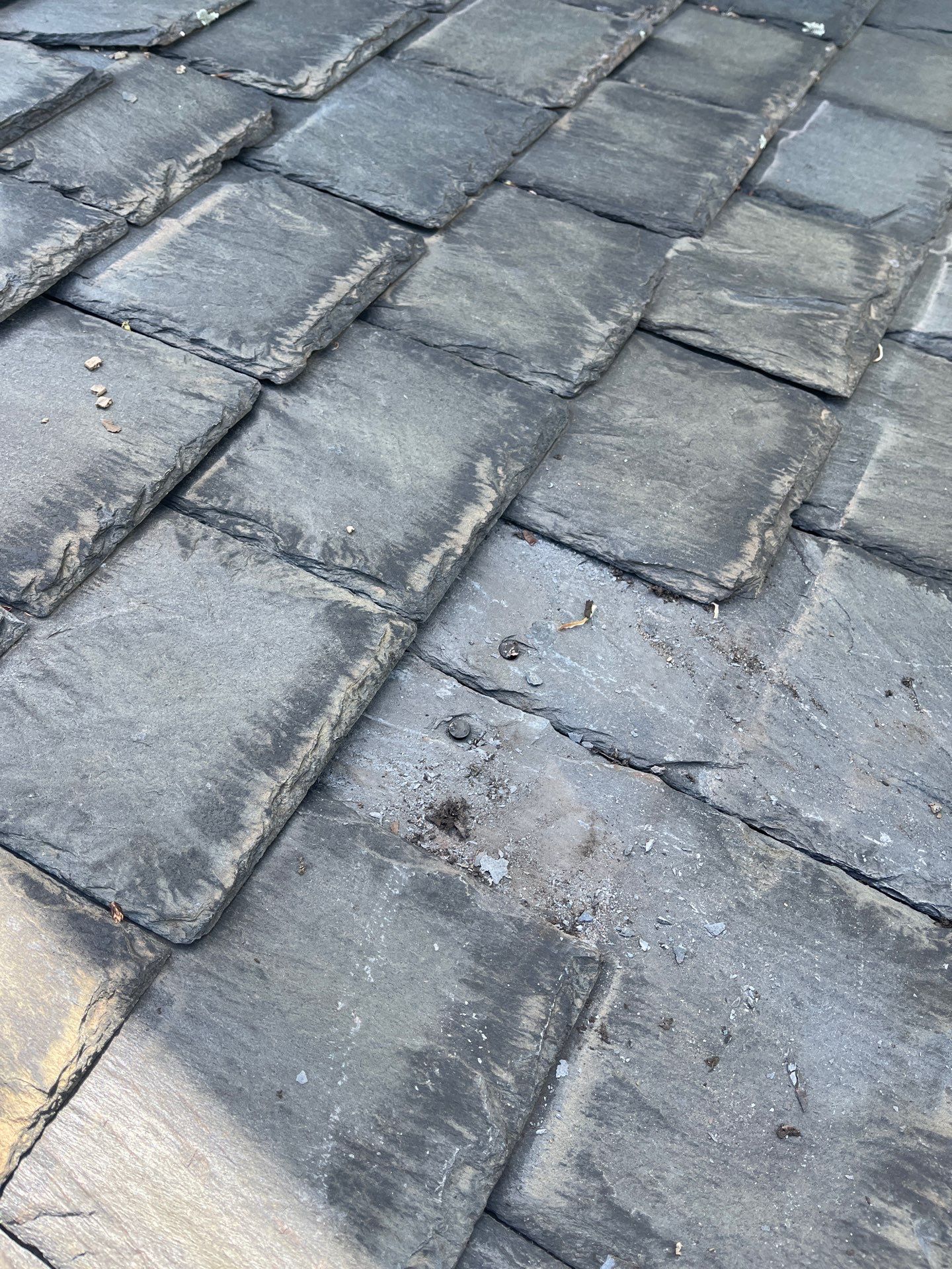 Arlington: Buckingham Slate and Carlisle Syntec TPO Roof by RM Banning, Inc.