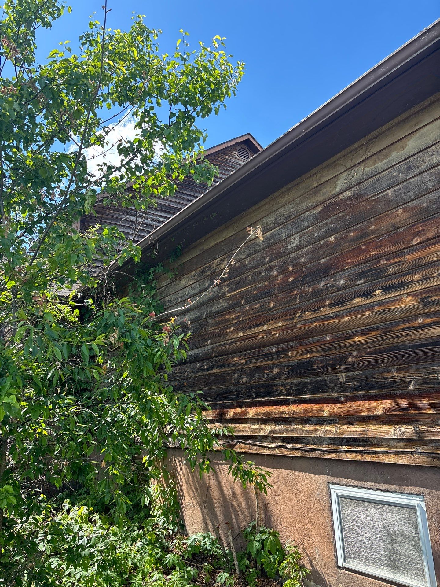Siding and Gutter Replacement by Winchester Roofing