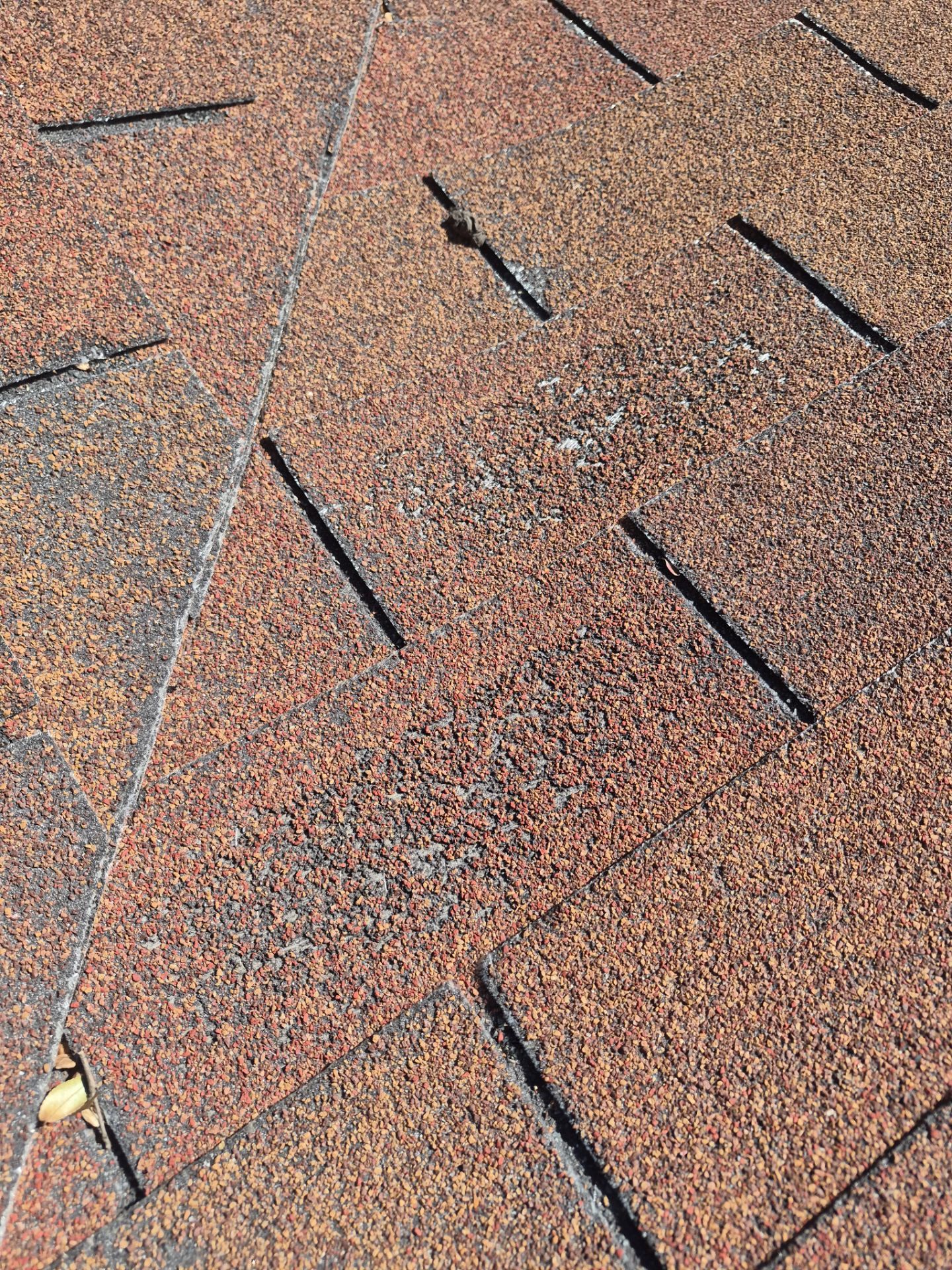 Residential Tarp Repair by Becker Roofing and Exteriors