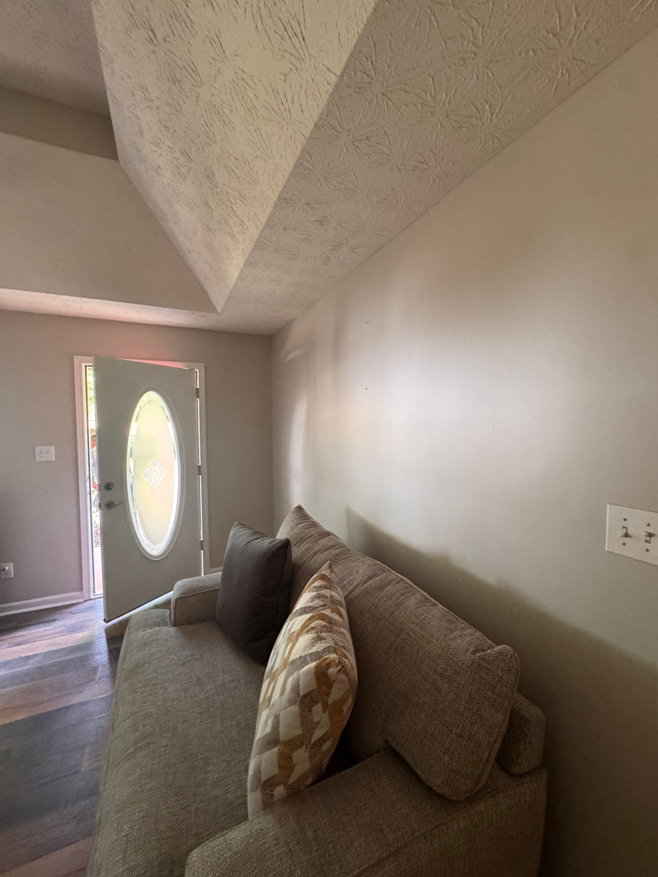 Whole-Home Interior Repaint and Neutral Color Transformation by PGP Surface Solutions, LLC