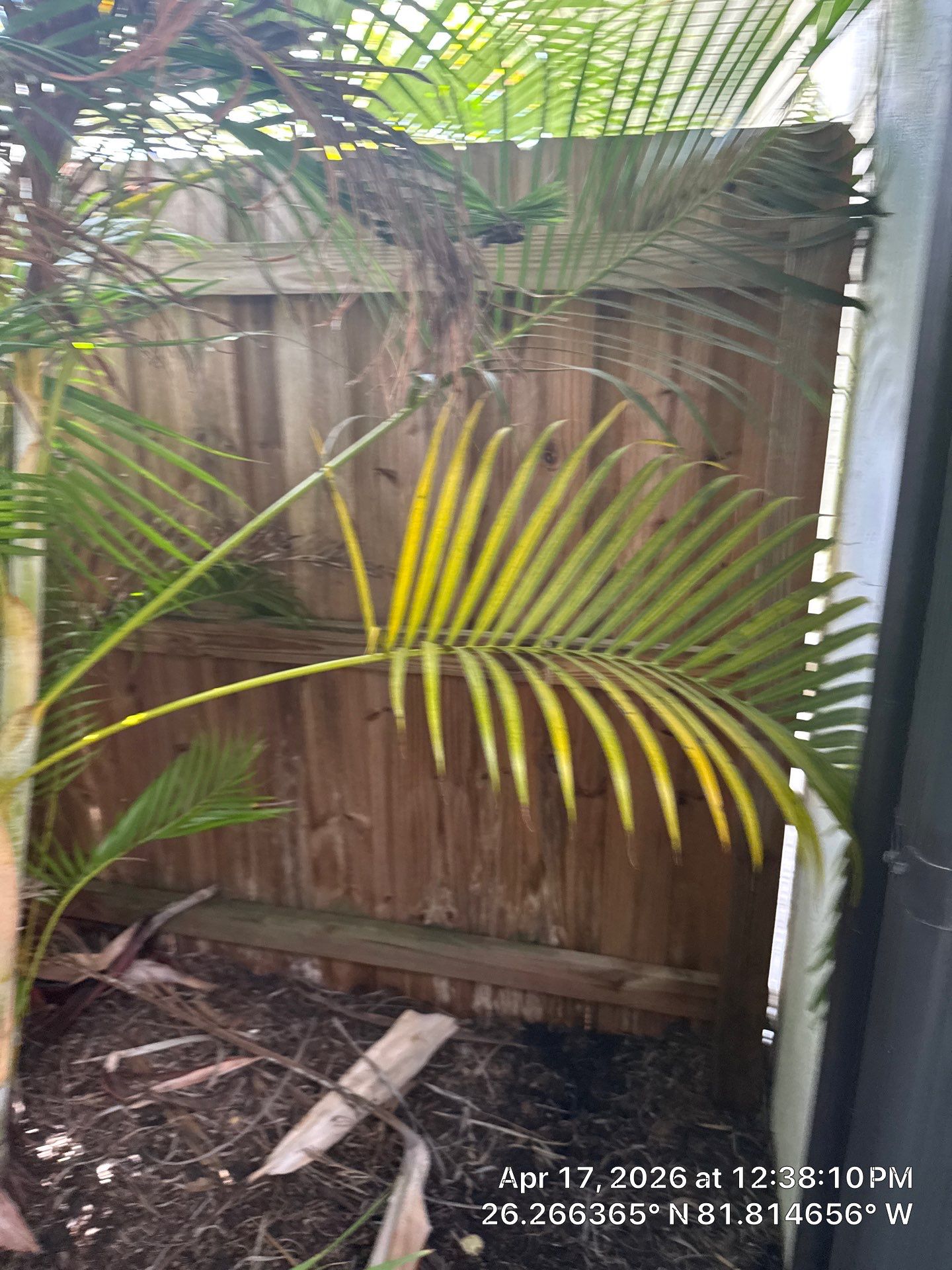 Vinyl Replacement in Naples by True Fence LLC