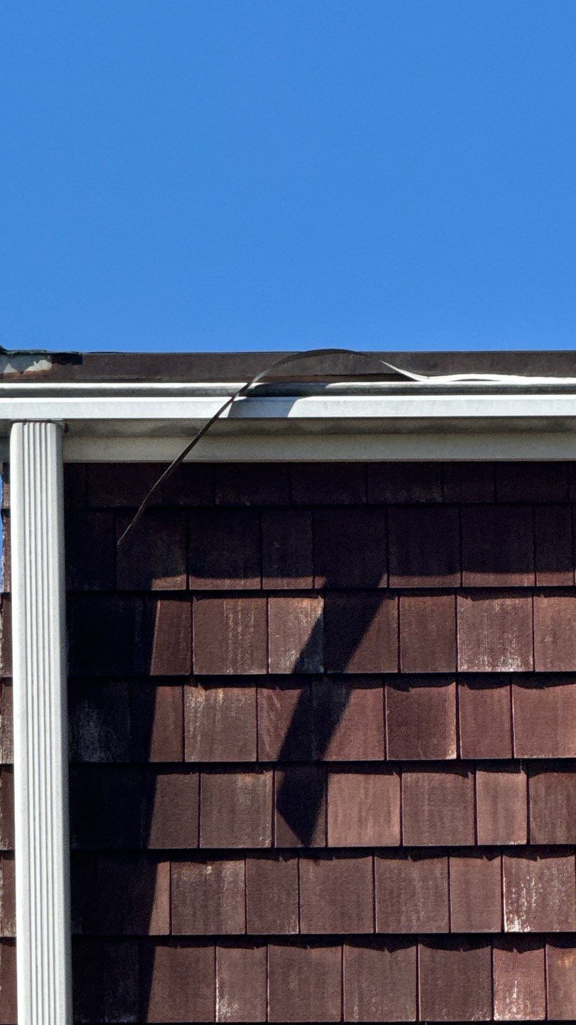 Alexandria: Mule Hide TPO Flat Roof by RM Banning, Inc.