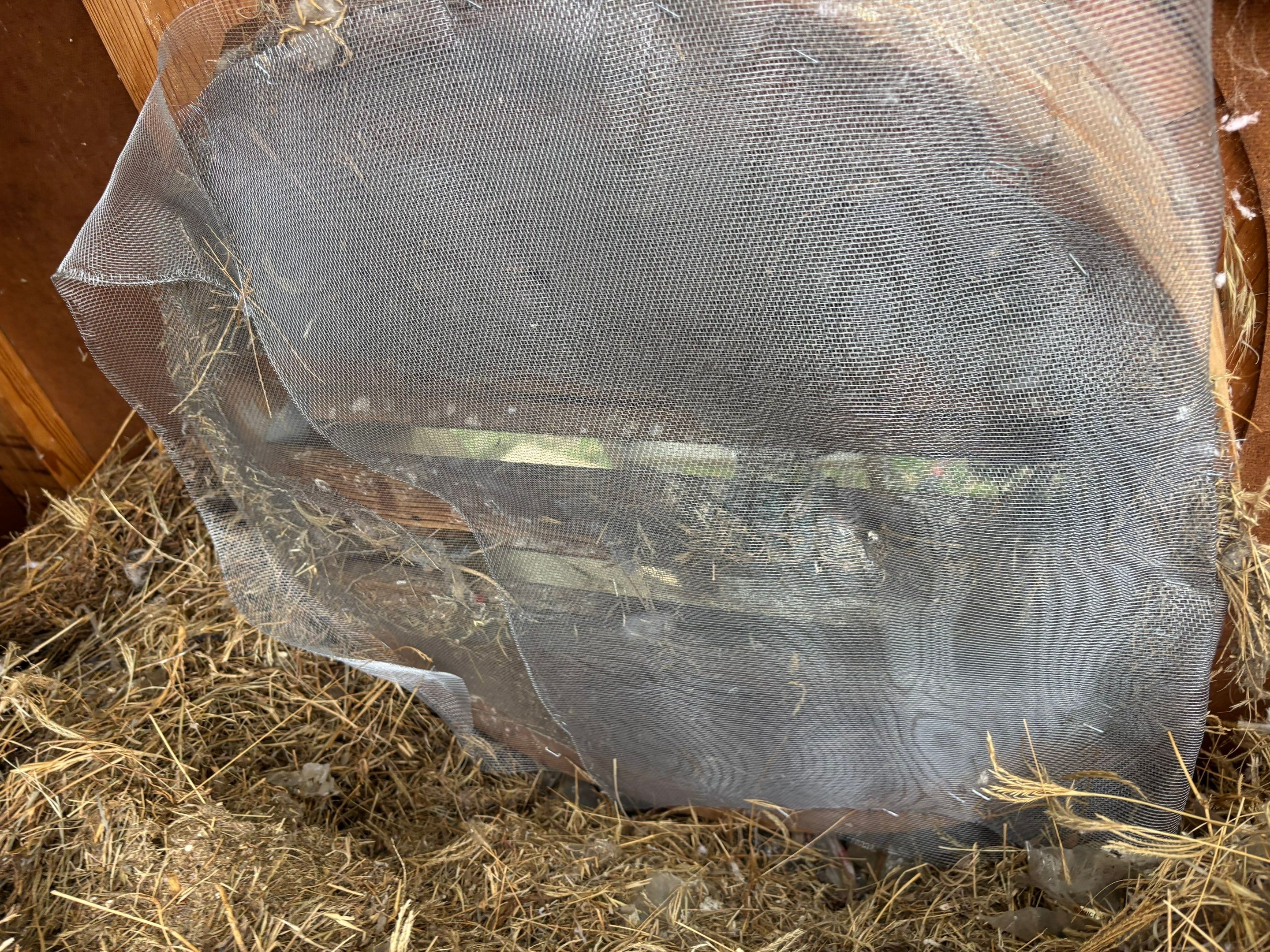 Reroof by Berry Good Roofing 