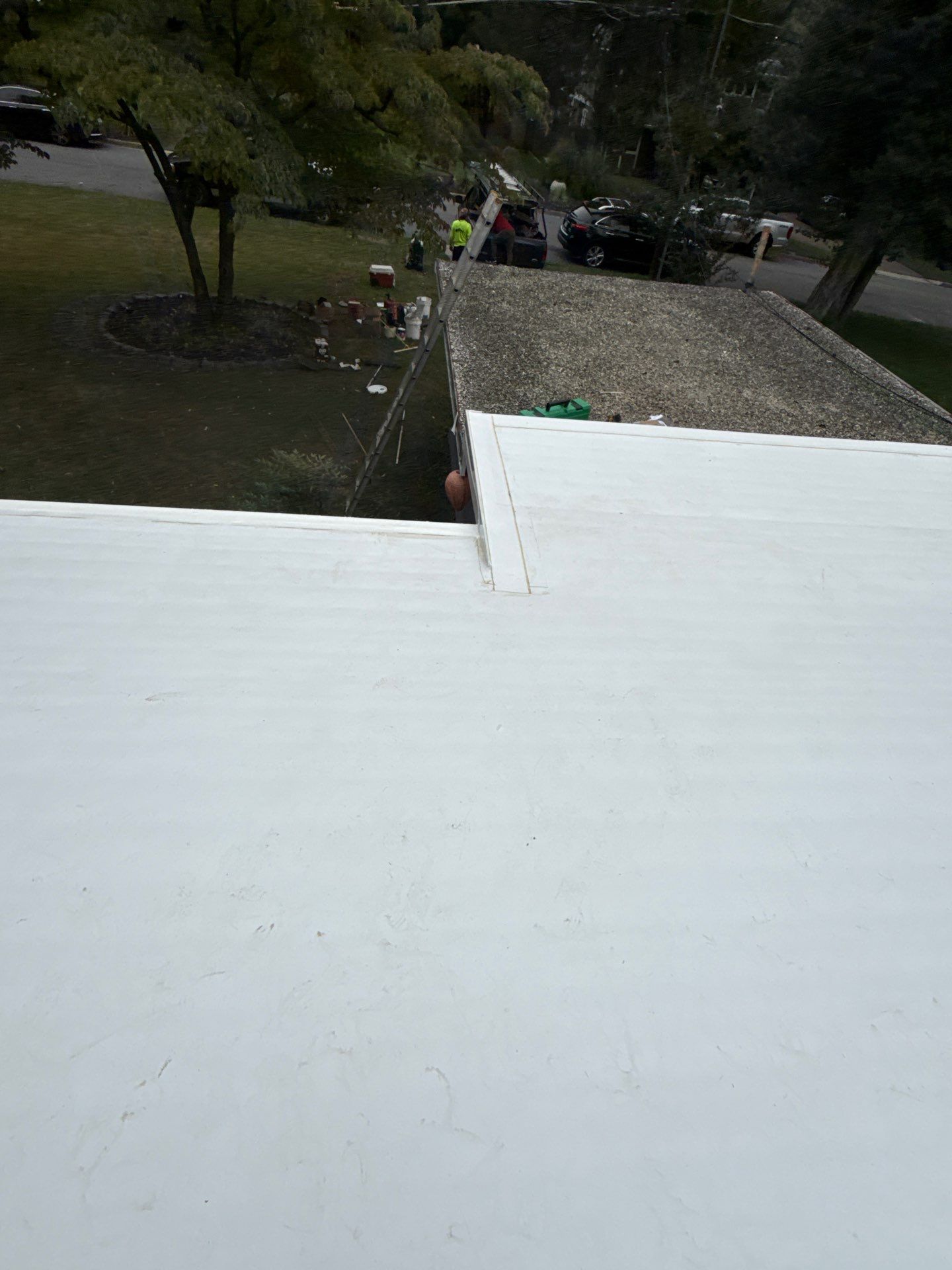 Falls Church :  TPO by RM Banning, Inc.