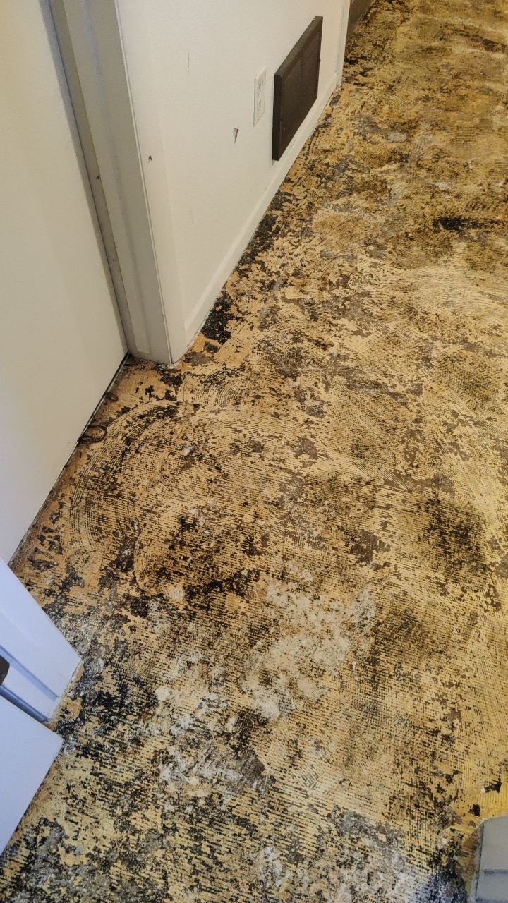 Water Damage by Accountable Home Services