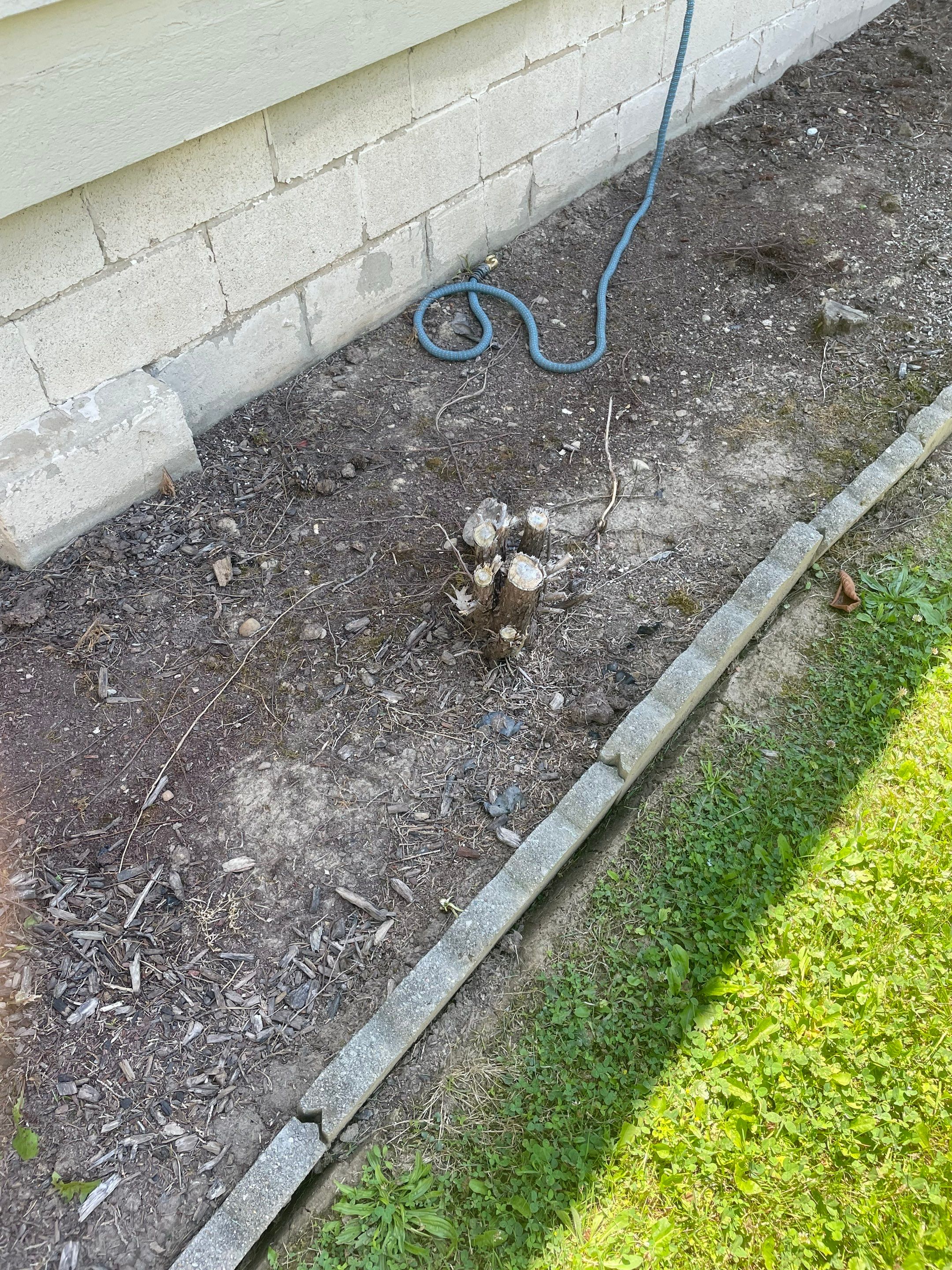 Tree Removal using Tree Removal by Mike Jones & Sons Tree Service LLC 