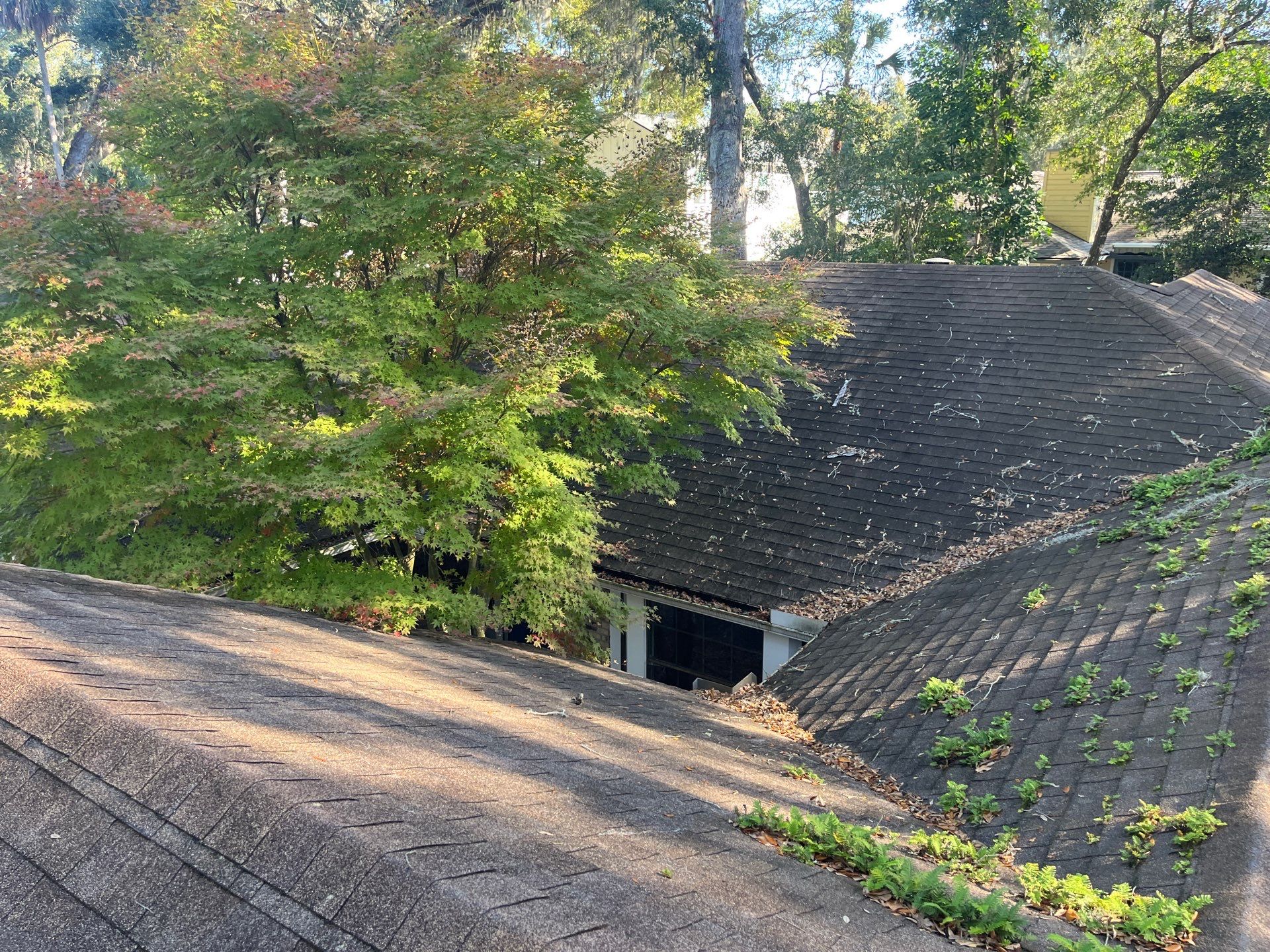 Shingle -> Shingle by Prime Roofing