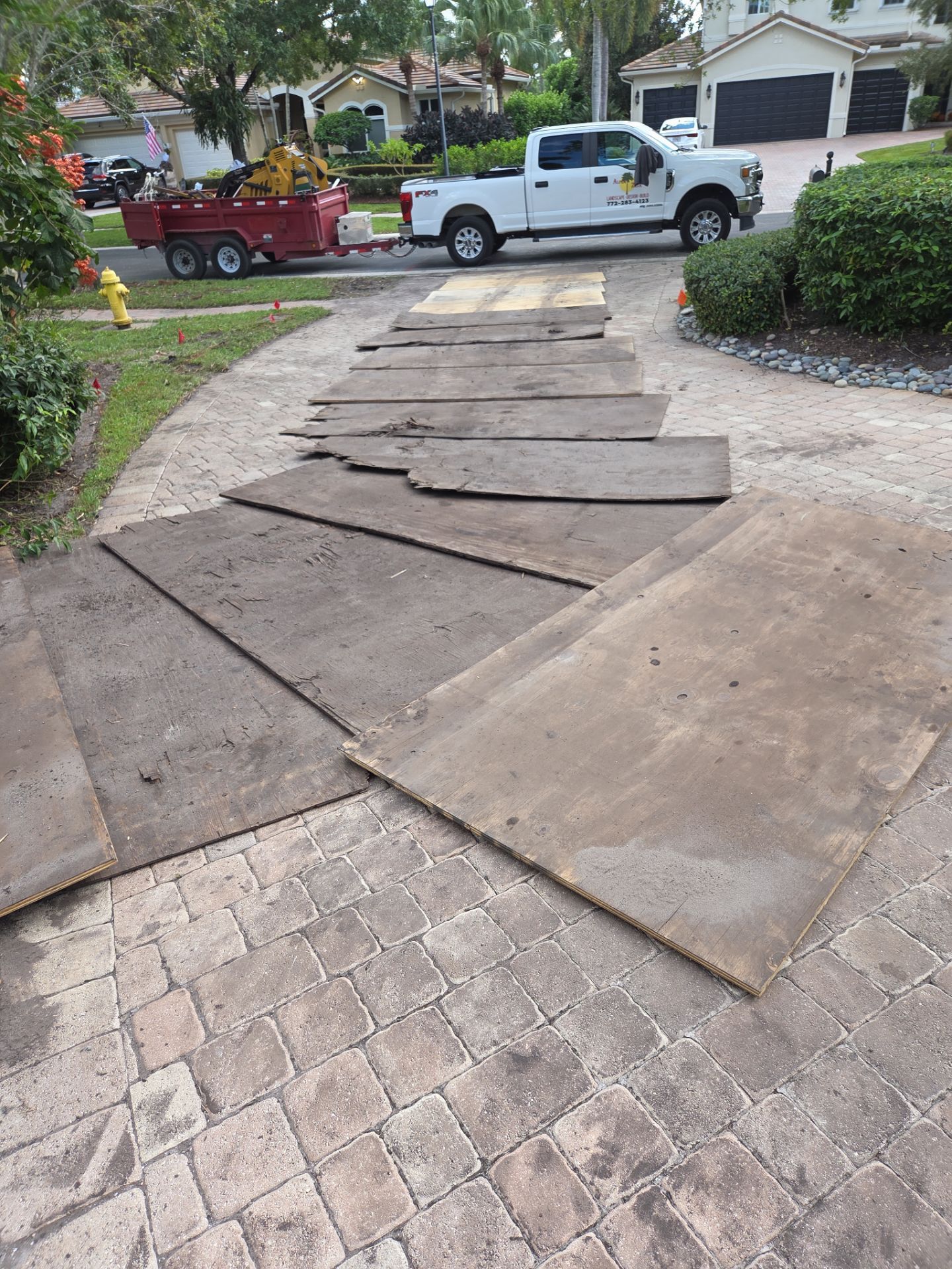 Hammock Creek Estate | Phase 1 – The Art of Precision Removal by Alpha Zeta Enterprises Inc