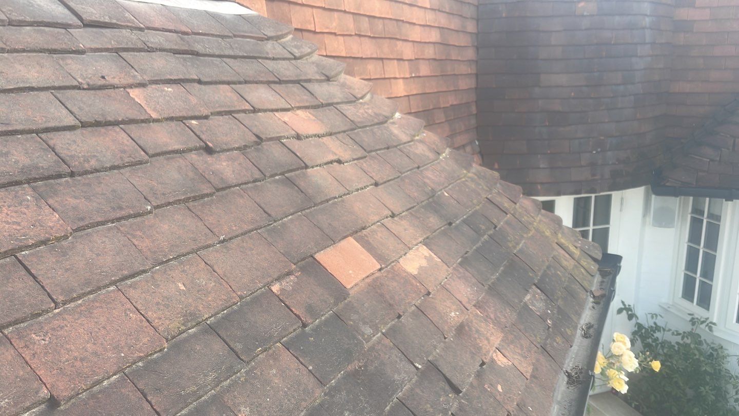 Roof Clean - Biocide Treatment using Honda 15lpm Low Pressure Washing Machine by Ges Exterior Cleaning ltd