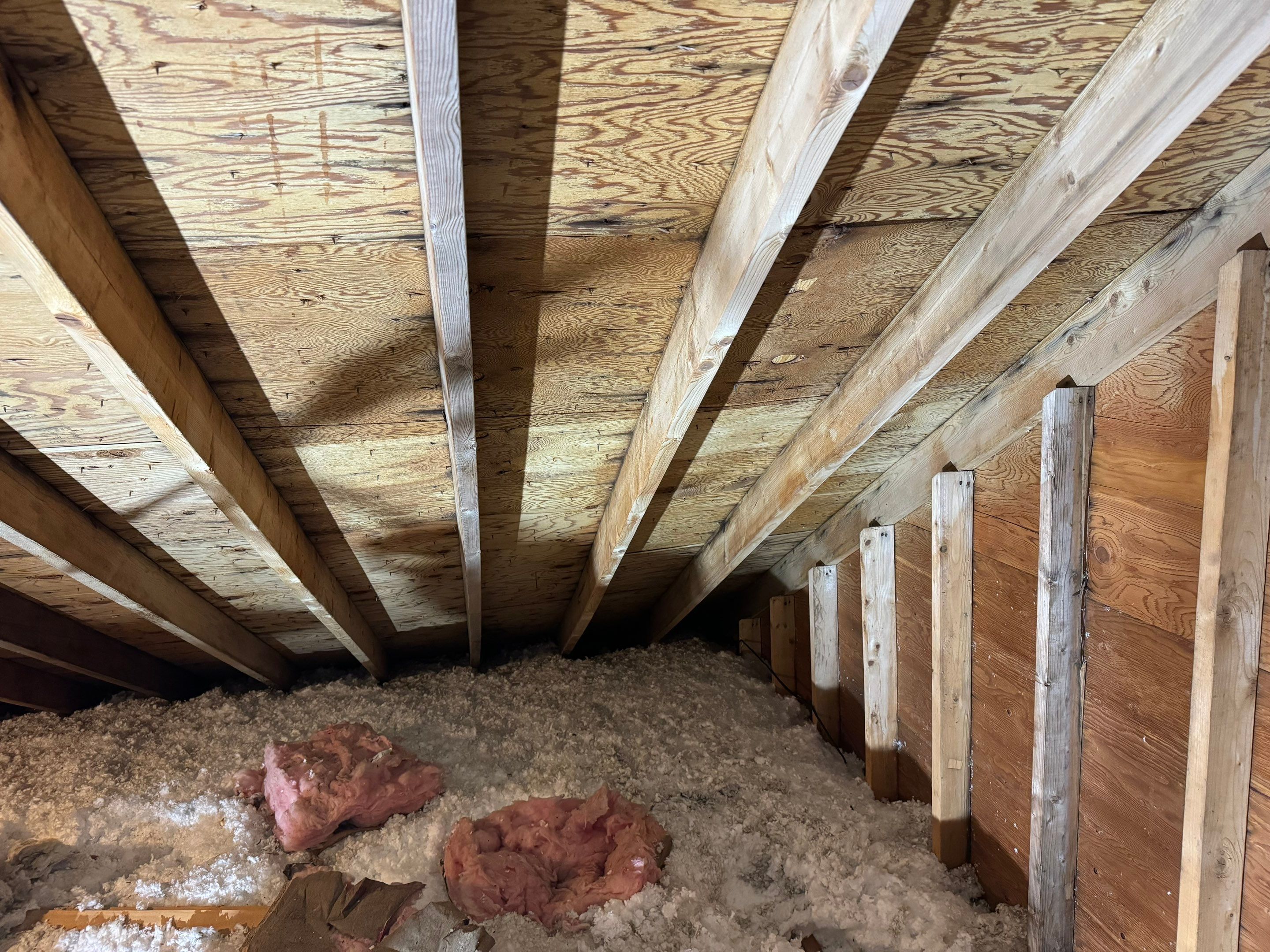 Attic Mold Remediation by Home Guarantee, LLC