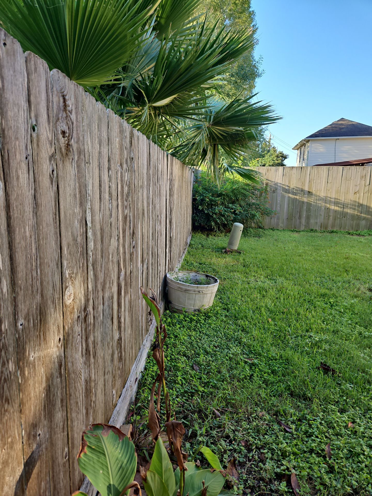 Poolside Perfection by Tim's Fences