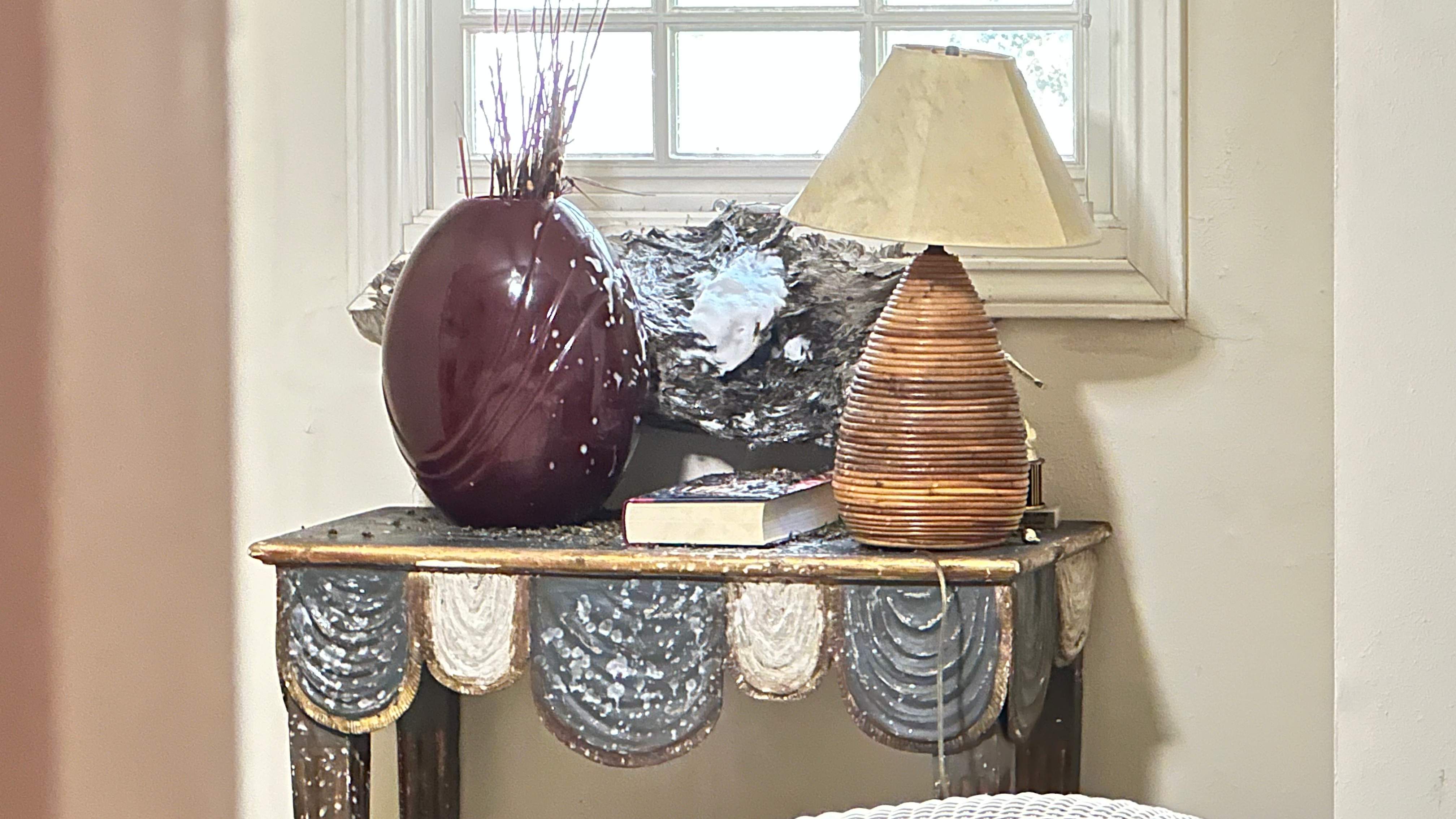 Yellowjackets in Bedroom by Rockwall Honey Bee Company