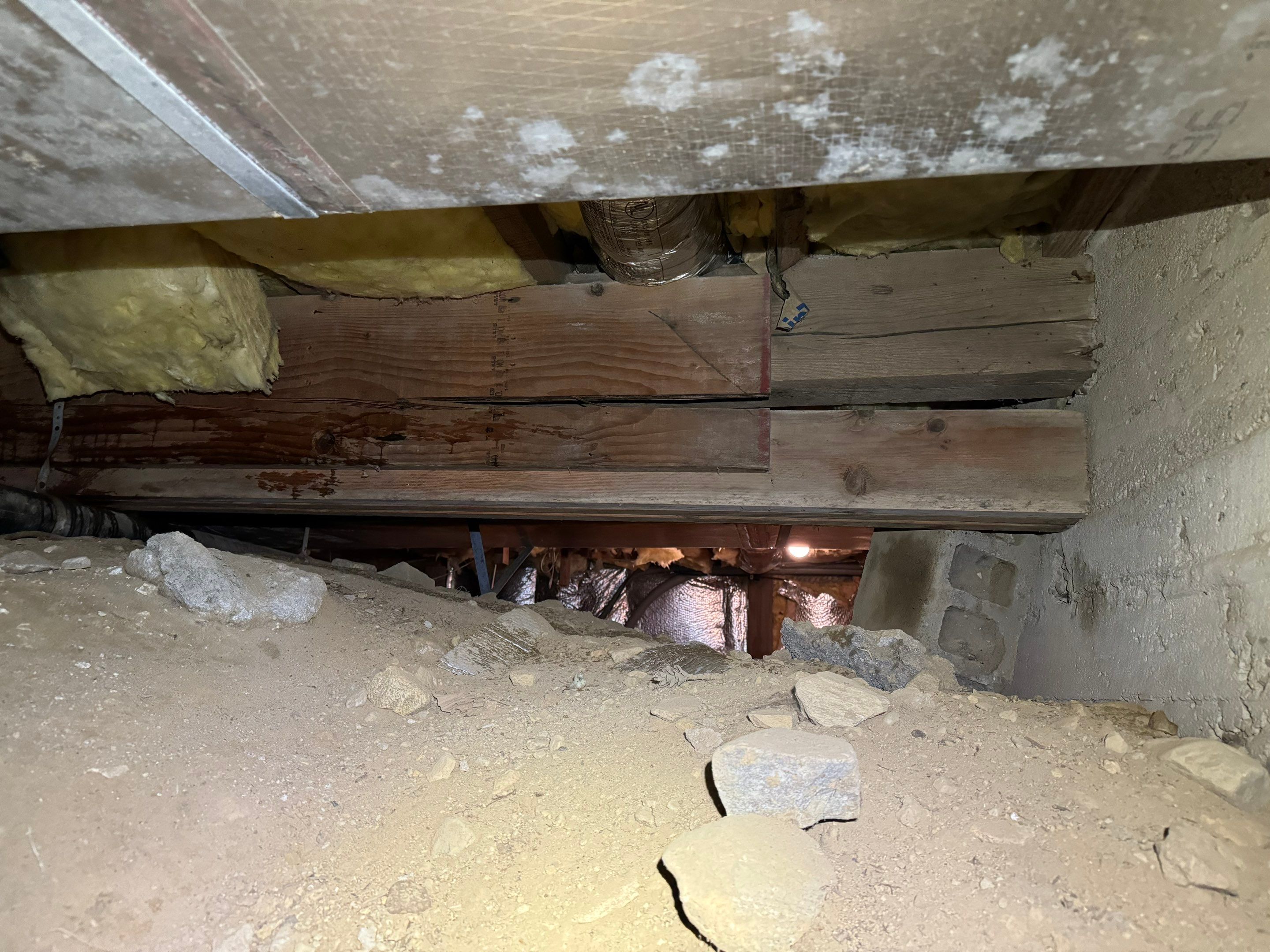 Mold Remediation (Basement) using Home Guarantee by Home Guarantee, LLC