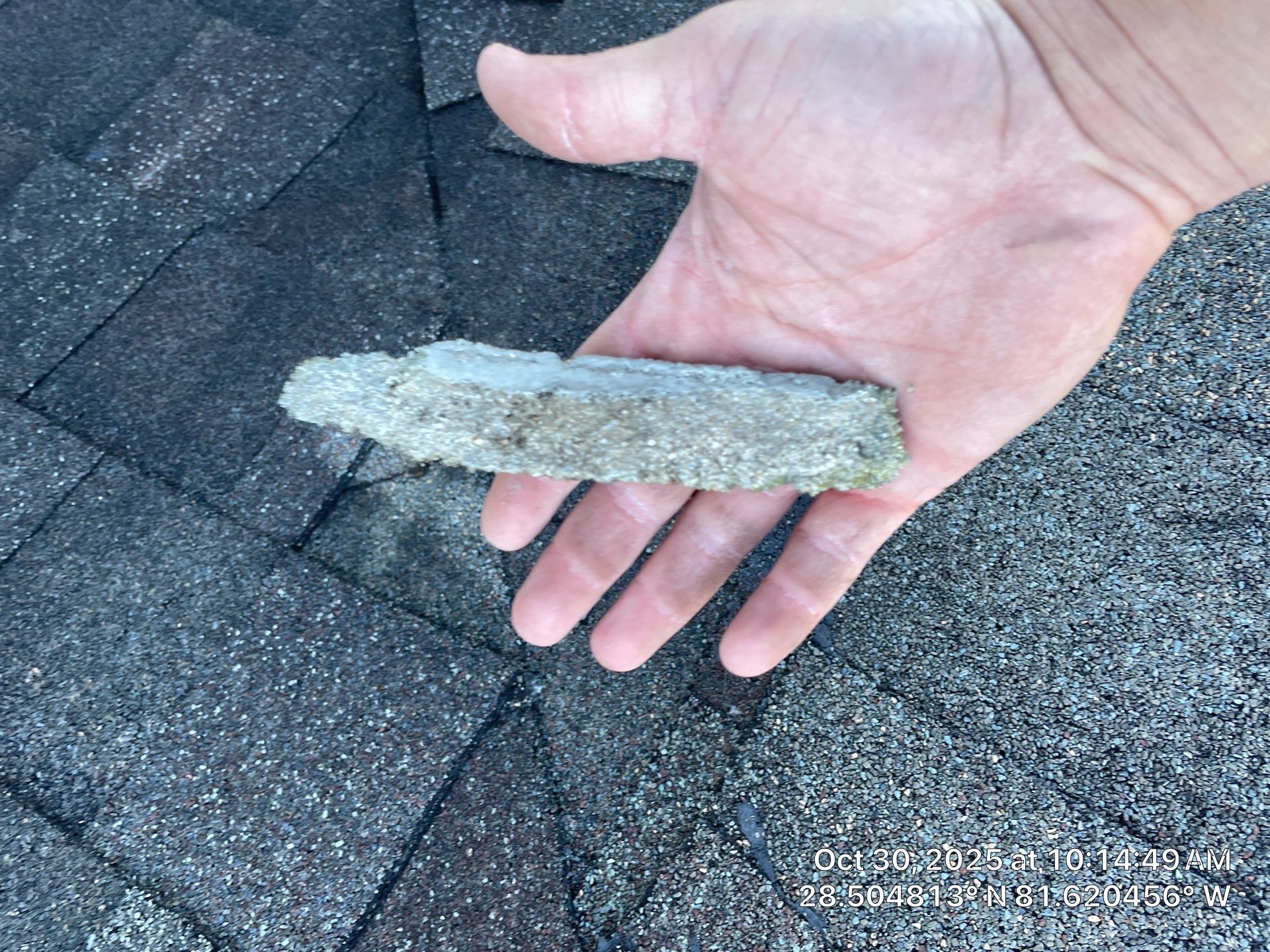 Dryer Vent and Bathroom Exhaust Fan Cleaning in Winter Garden by Hygienic Air, Inc