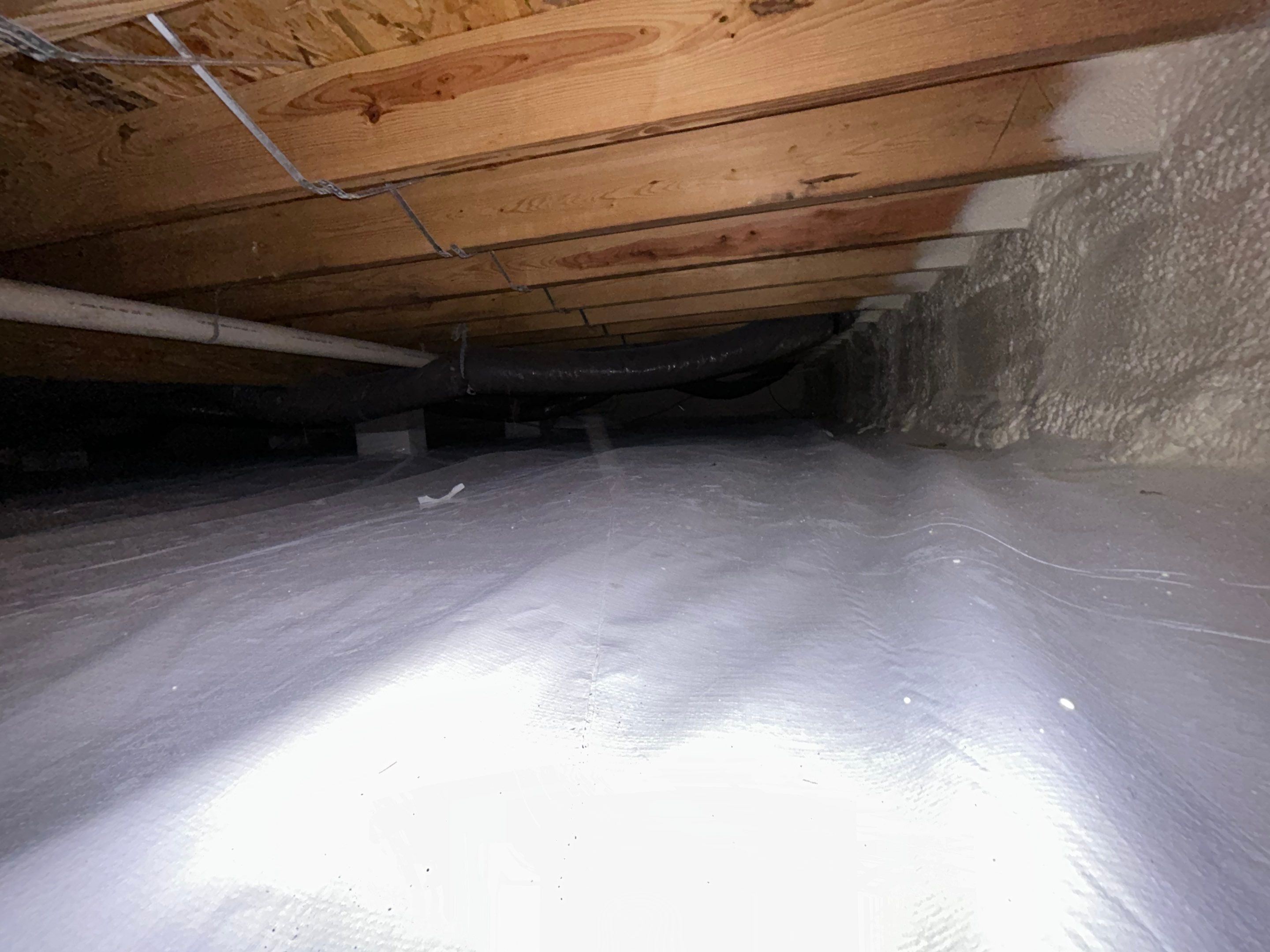 Crawlspace Mold Remediation in Austin, IN by ANR Restoration