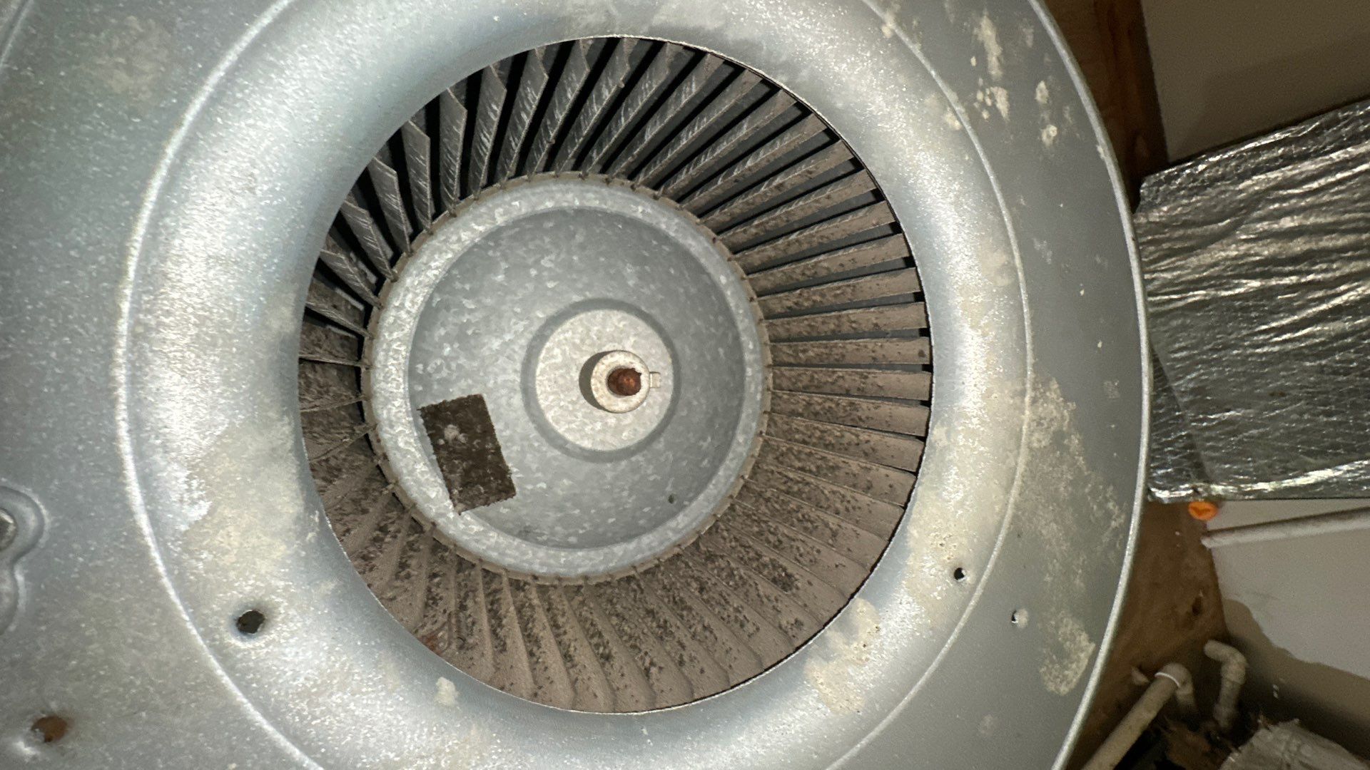 Air Duct Cleaning and Suspect Growth Removal Before and After Video/Photos Removal of mechanical component. by All Seasons Air Duct Cleaning 