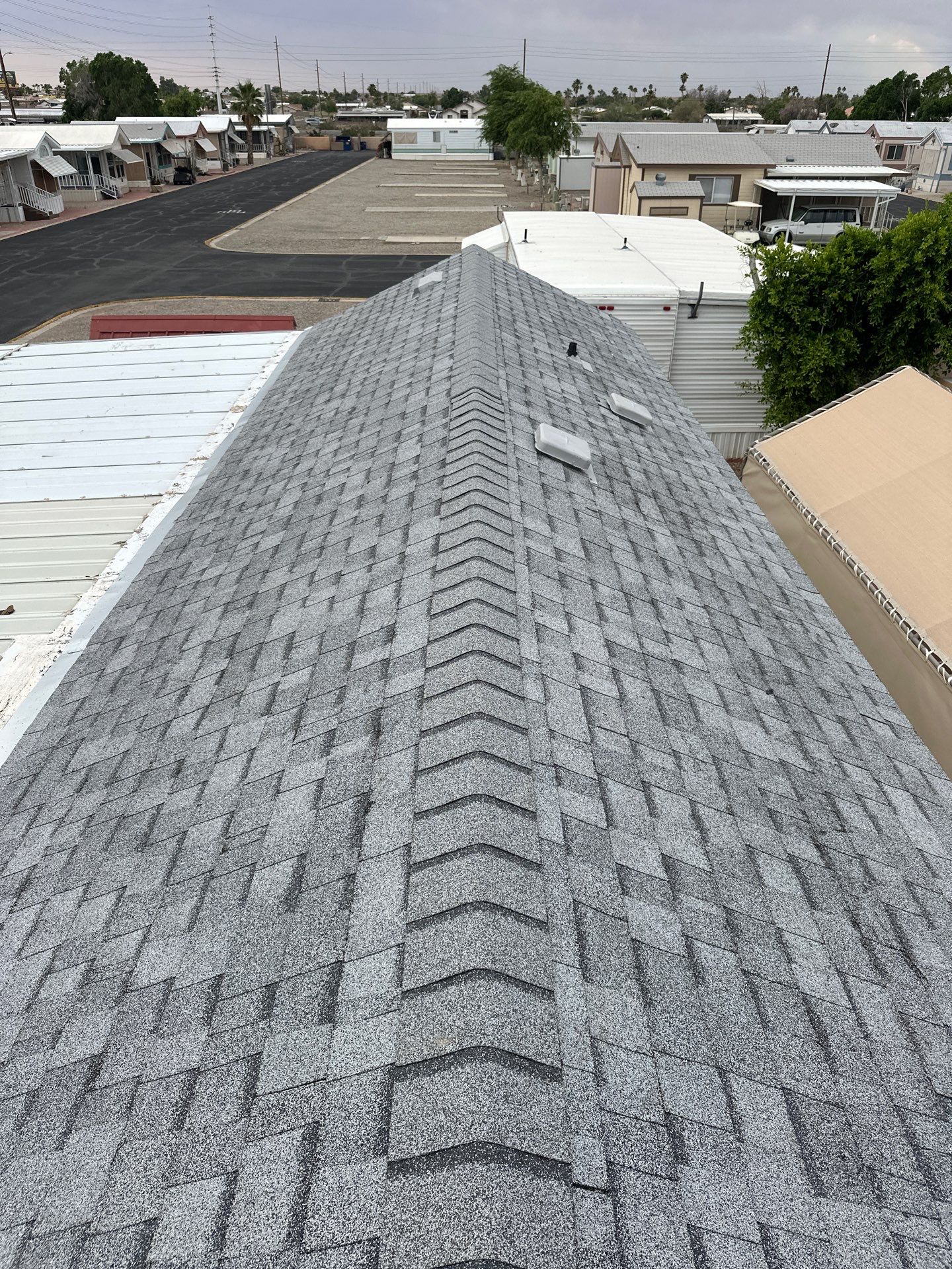 Silver Birch Shingles by Reimagine Roofing