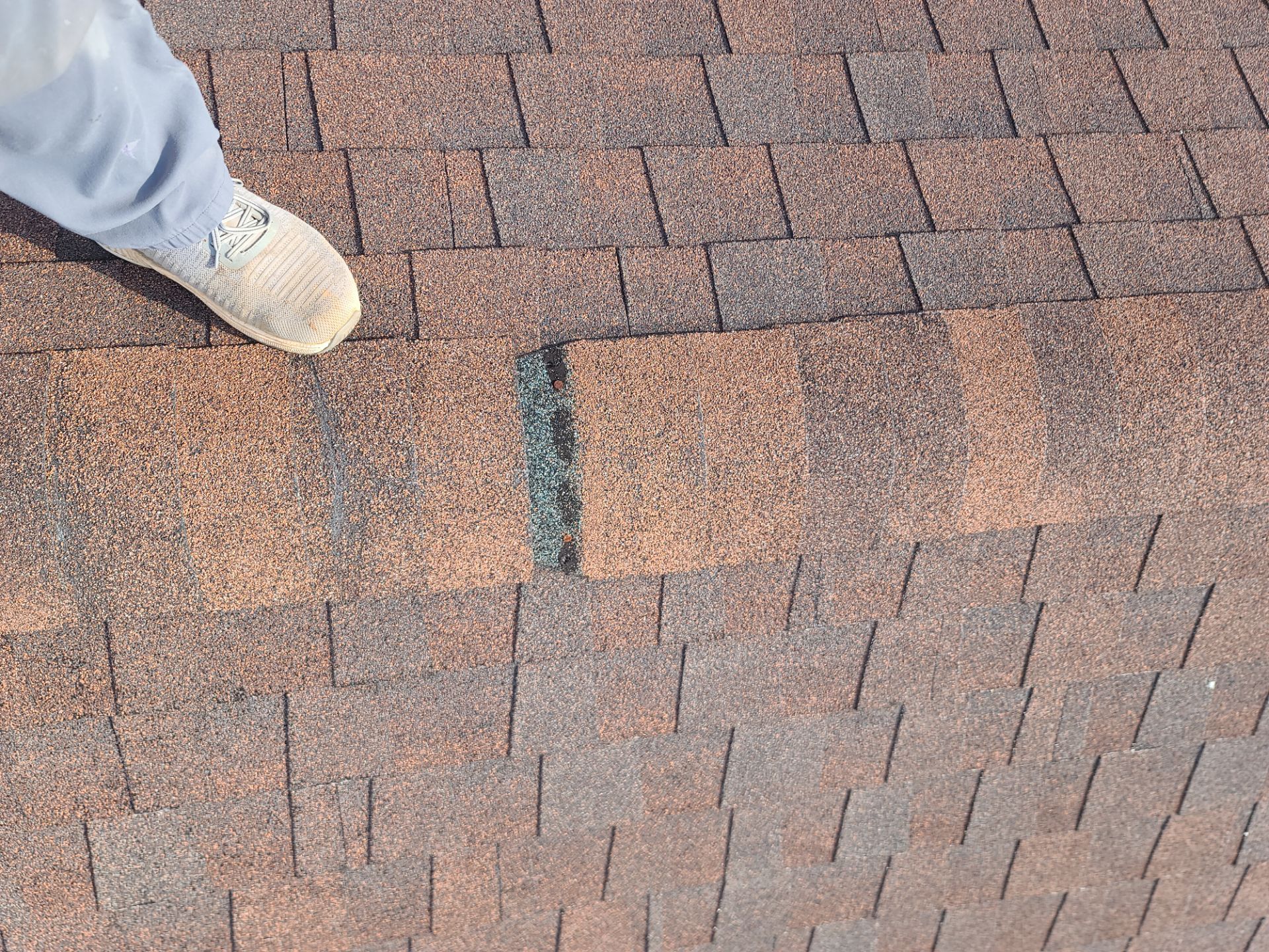 Morgan's Roof by BROCK BUILDERS 
