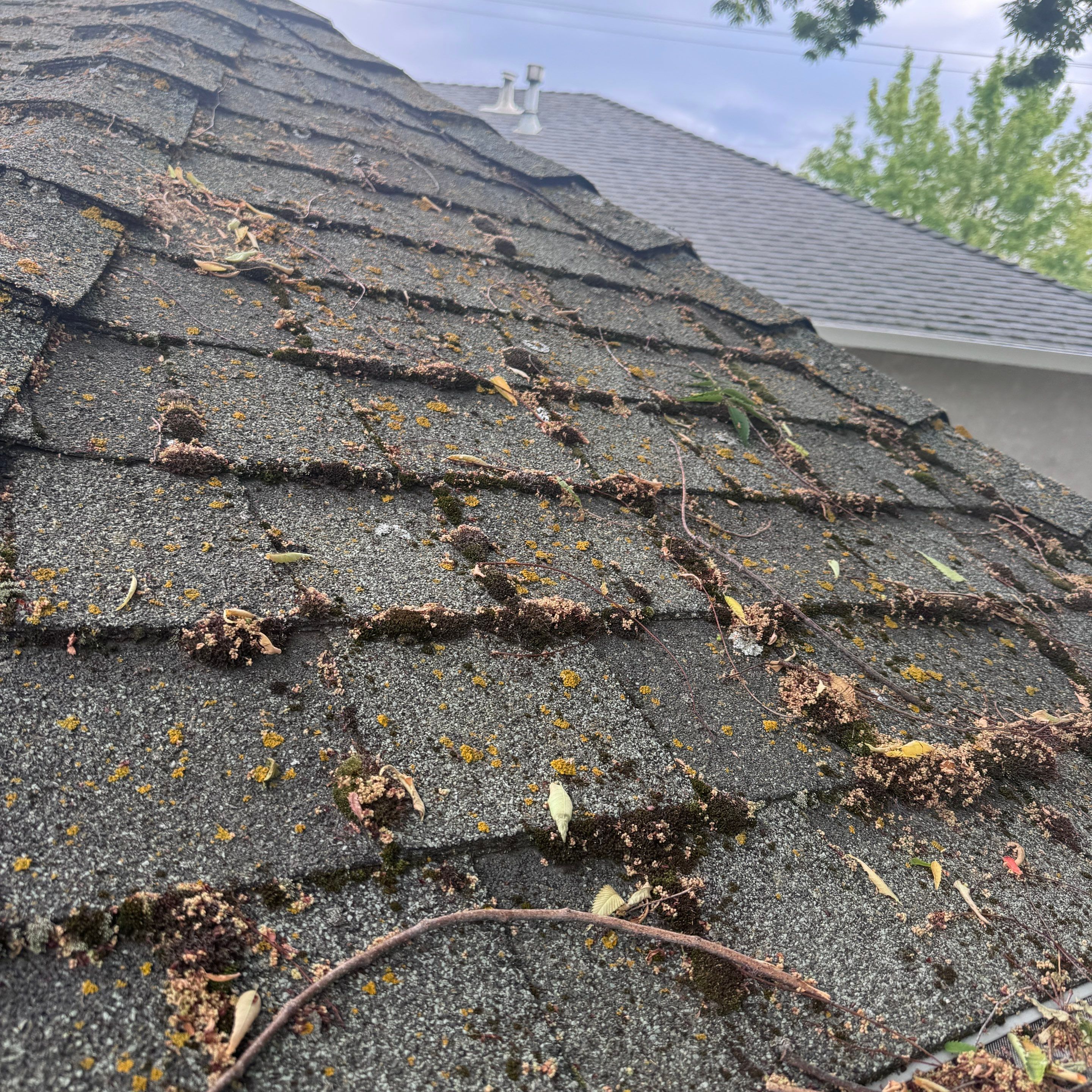 Roof Rejuvenation using Roof Maxx Treatment by Roof Maxx of Folsom