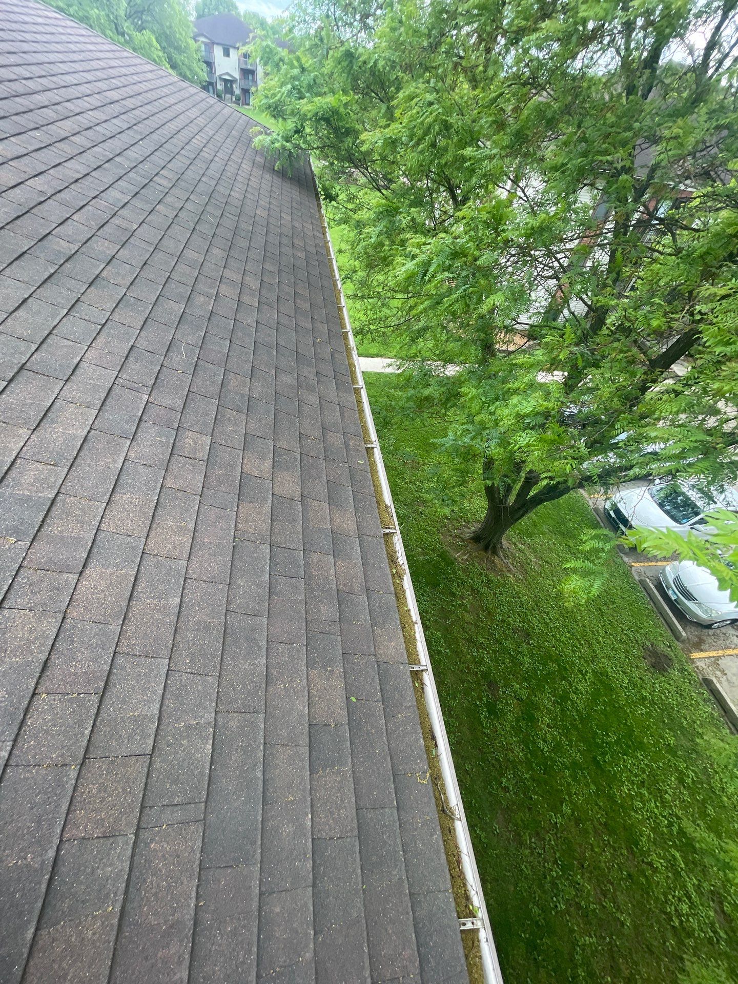 Commercial gutter cleaning Springfield, IL before photo with filled gutters